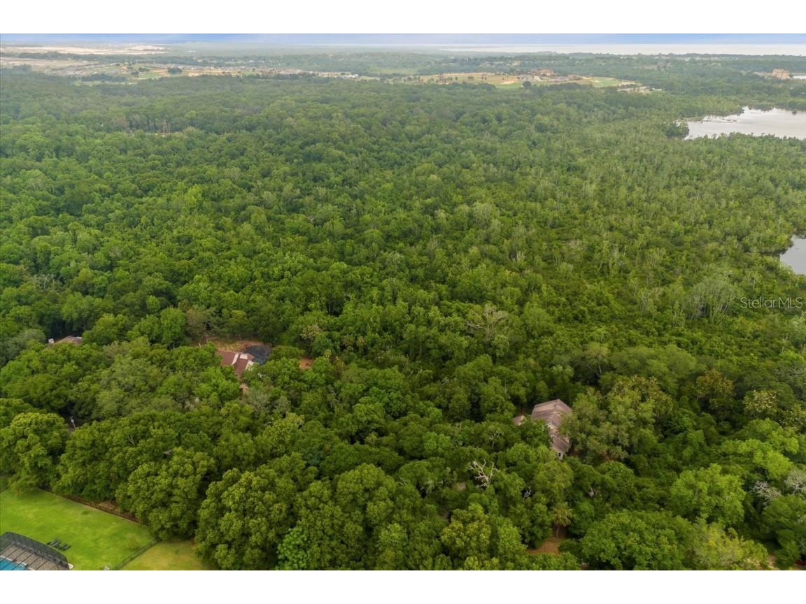 Magnolia Creek Lane Montverde FL 34756 - LAKE APOPKA O6203457 image3