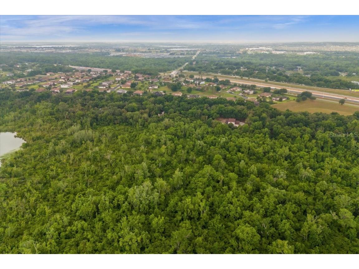 Magnolia Creek Lane Montverde FL 34756 - LAKE APOPKA O6203457 image5
