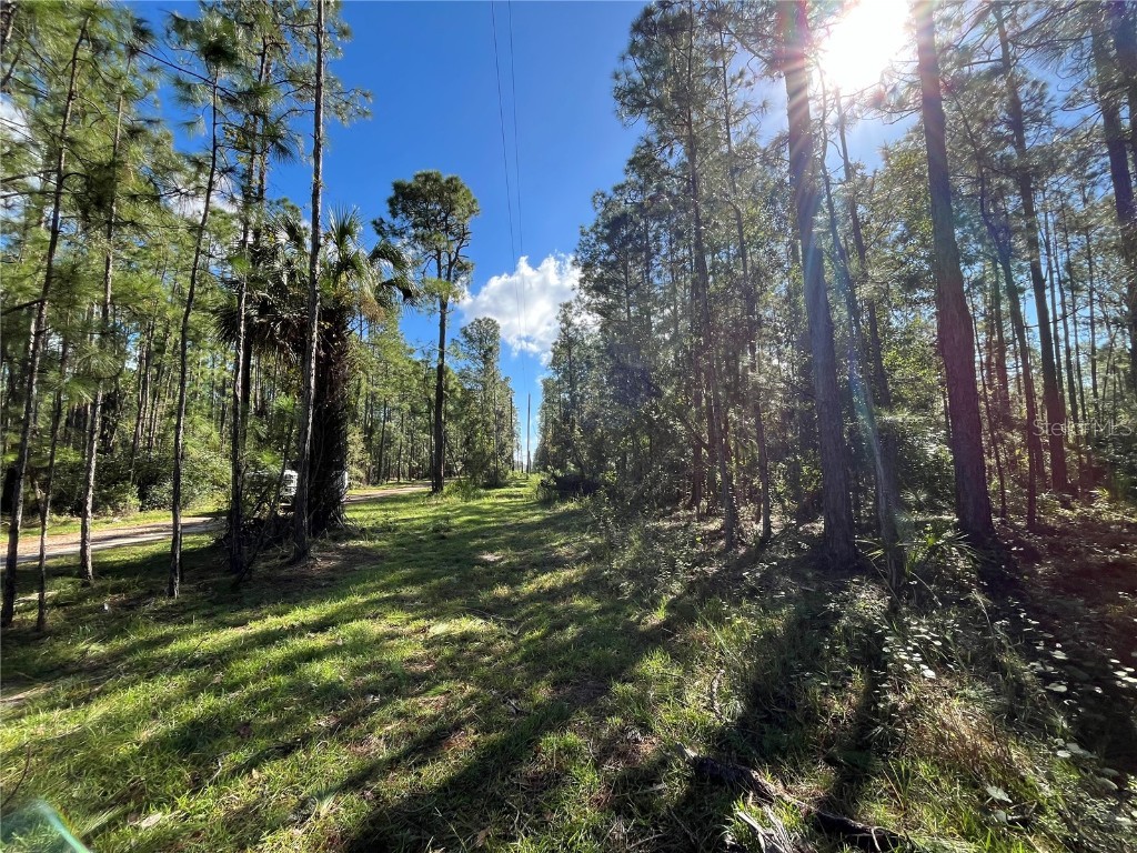 Magnolia Drive Indian Lake Estates FL 33855 OK224488 image1