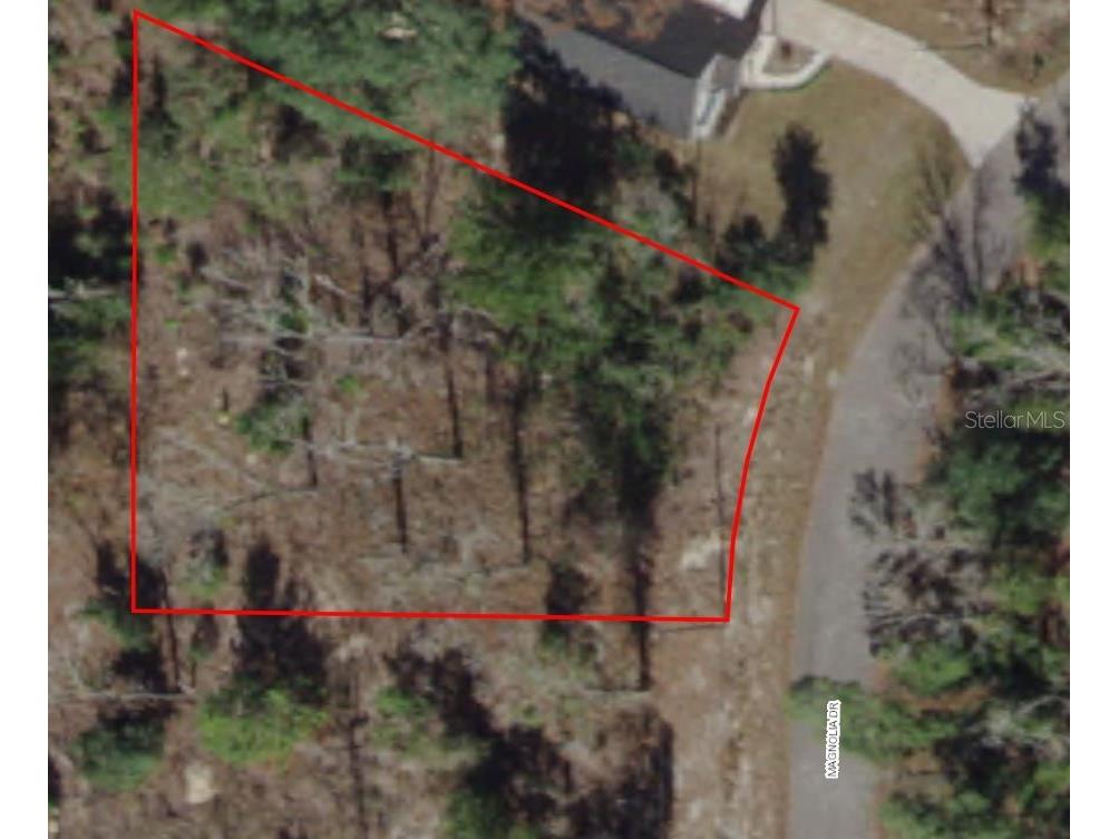 Magnolia Drive Ocklawaha FL 32179 OM670047 image1
