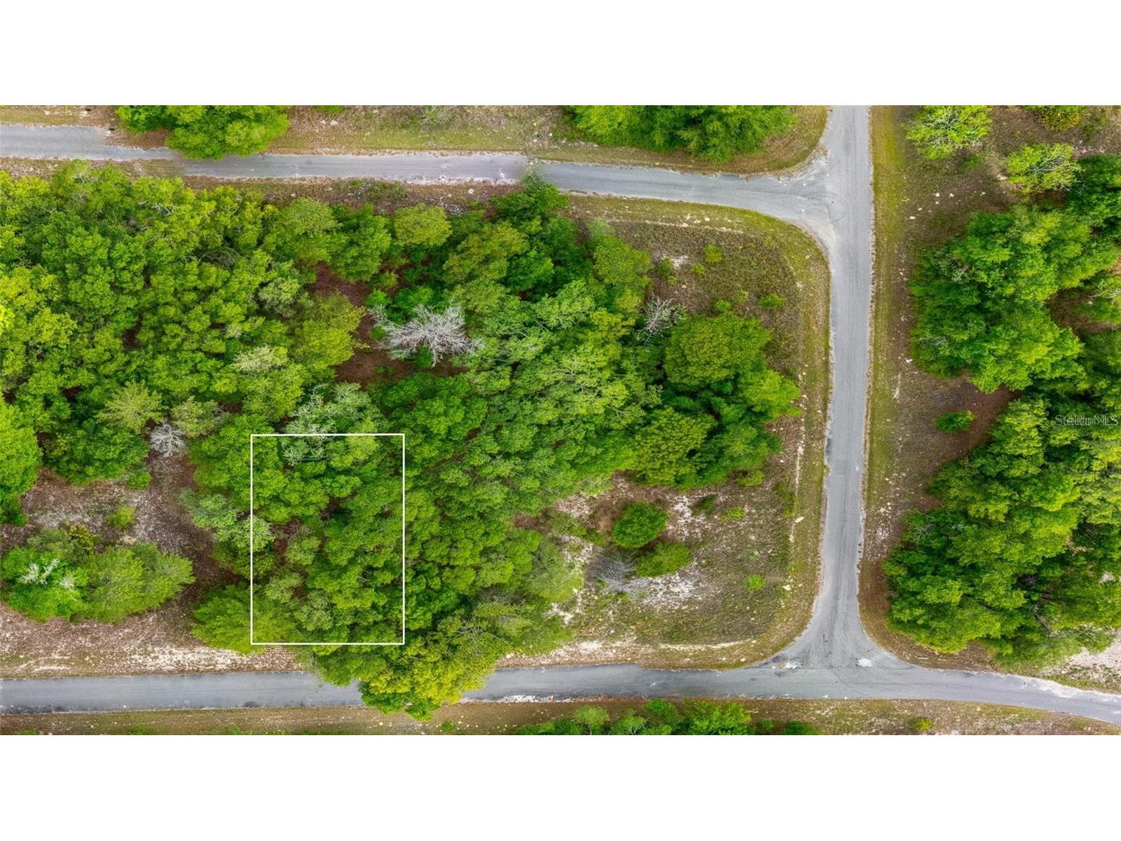 Magnolia Drive Ocklawaha FL 32179 D6147461 image1