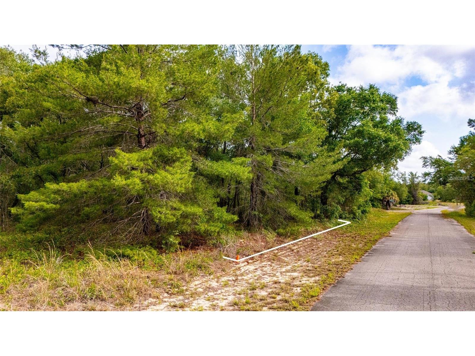 Magnolia Drive Ocklawaha FL 32179 D6147461 image2