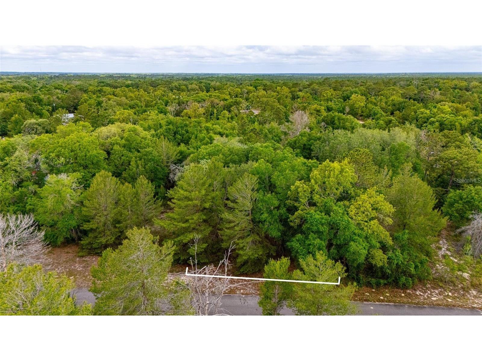 Magnolia Drive Ocklawaha FL 32179 D6147461 image3