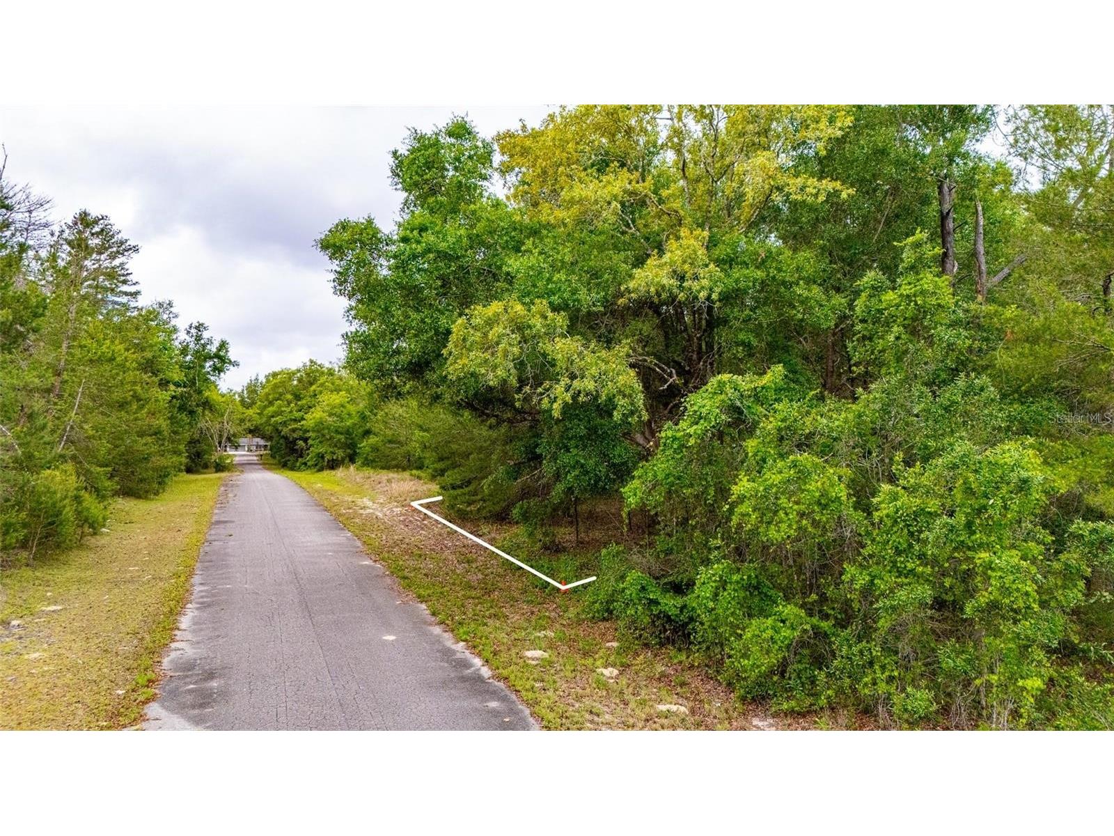 Magnolia Drive Ocklawaha FL 32179 D6147461 image4