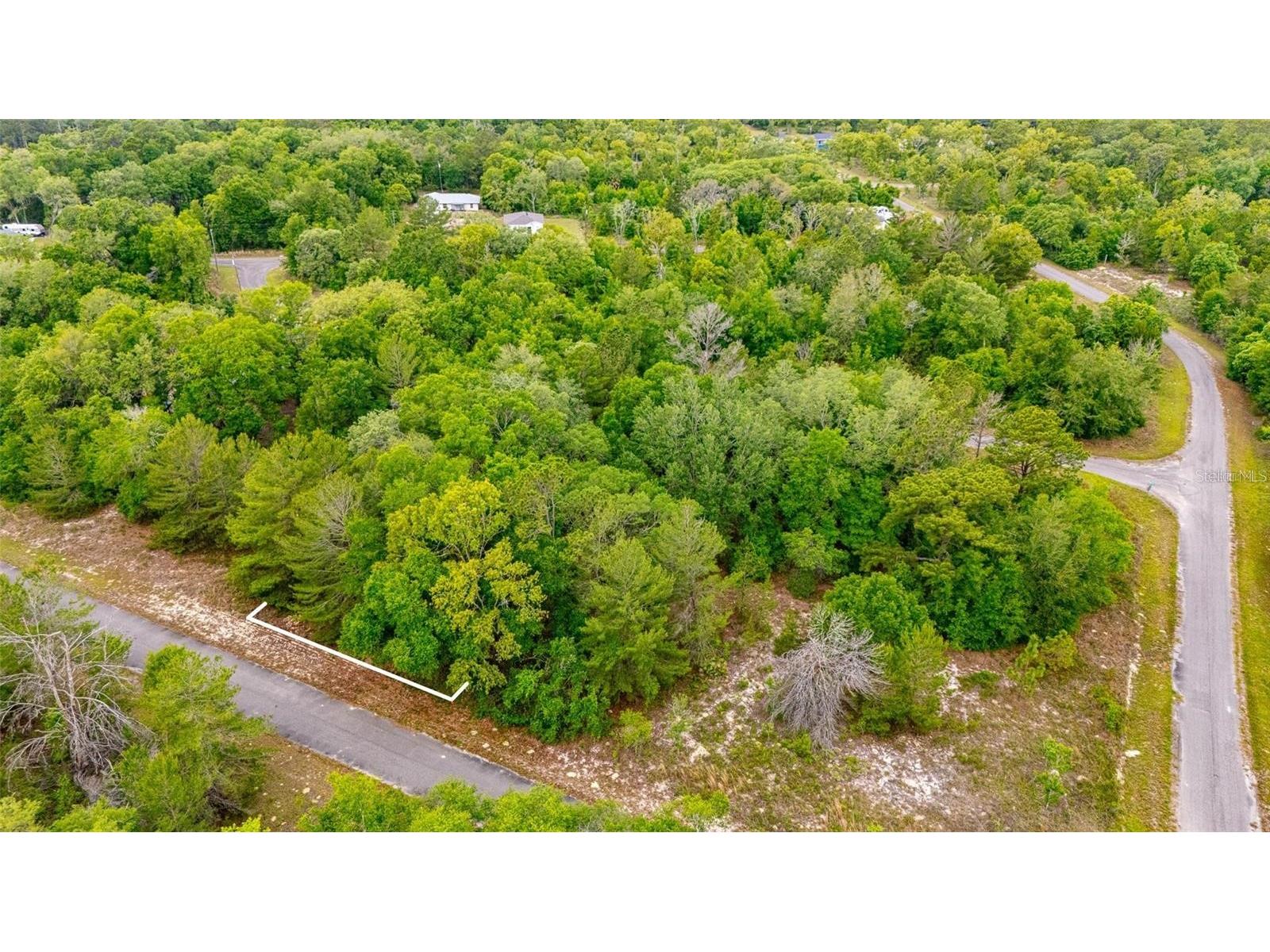 Magnolia Drive Ocklawaha FL 32179 D6147461 image6