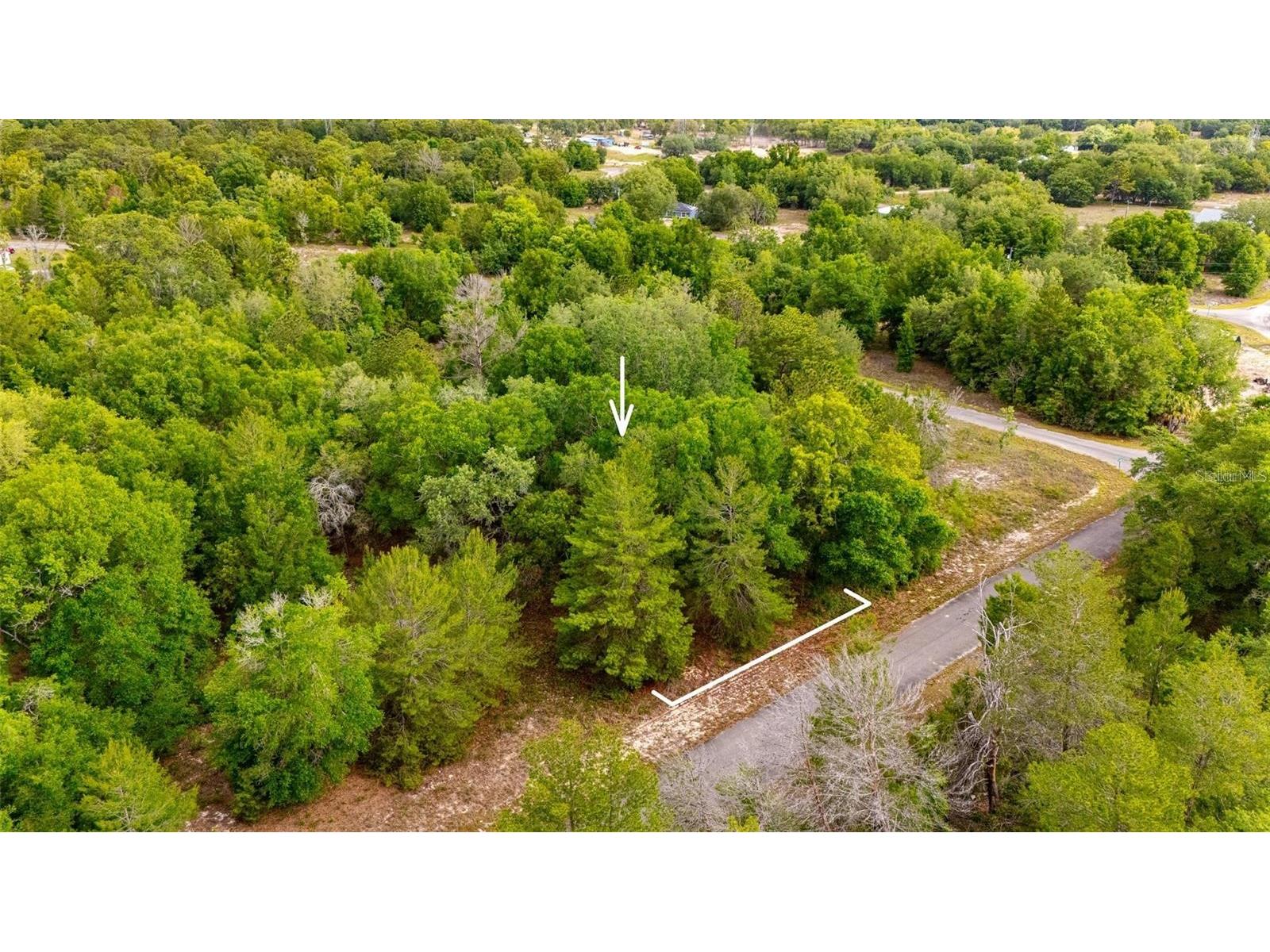 Magnolia Drive Ocklawaha FL 32179 D6147461 image7
