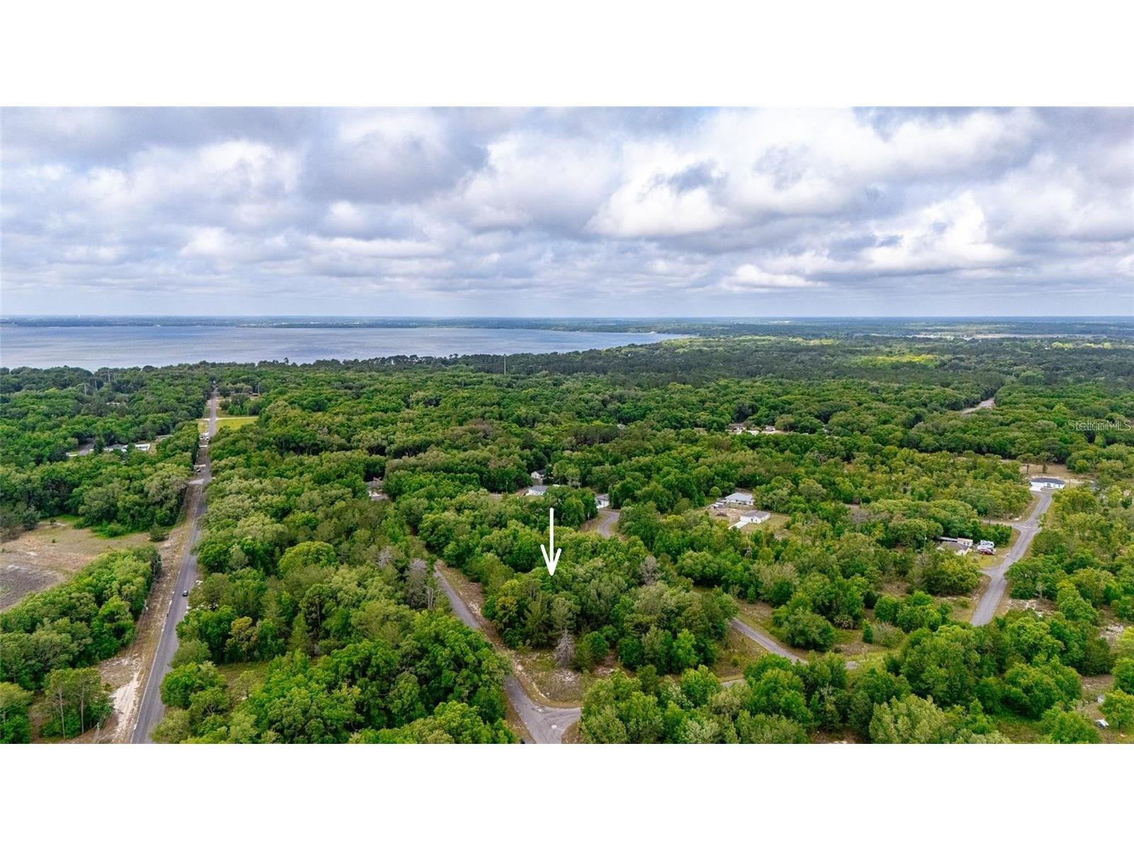 Magnolia Drive Ocklawaha FL 32179 D6147461 image8