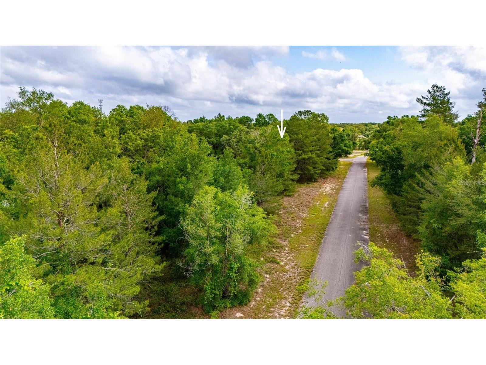 Magnolia Drive Ocklawaha FL 32179 D6147461 image9