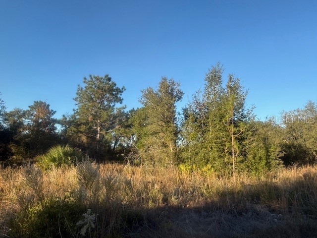 Magnolia Drive Ocklawaha FL 32179 OM715133 image1