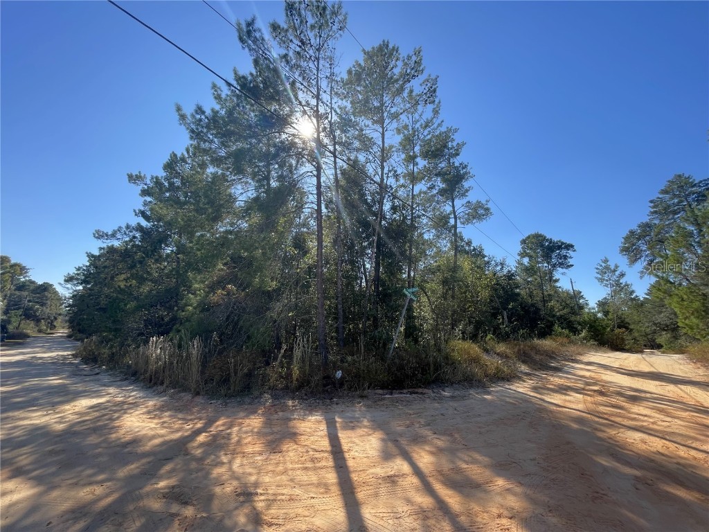 Magnolia St & Pinetree St. Pomona Park FL 32181 V4933323 image1