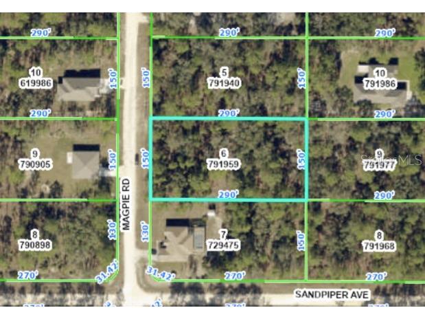 Magpie Road Weeki Wachee FL 34614 W7867346 image1