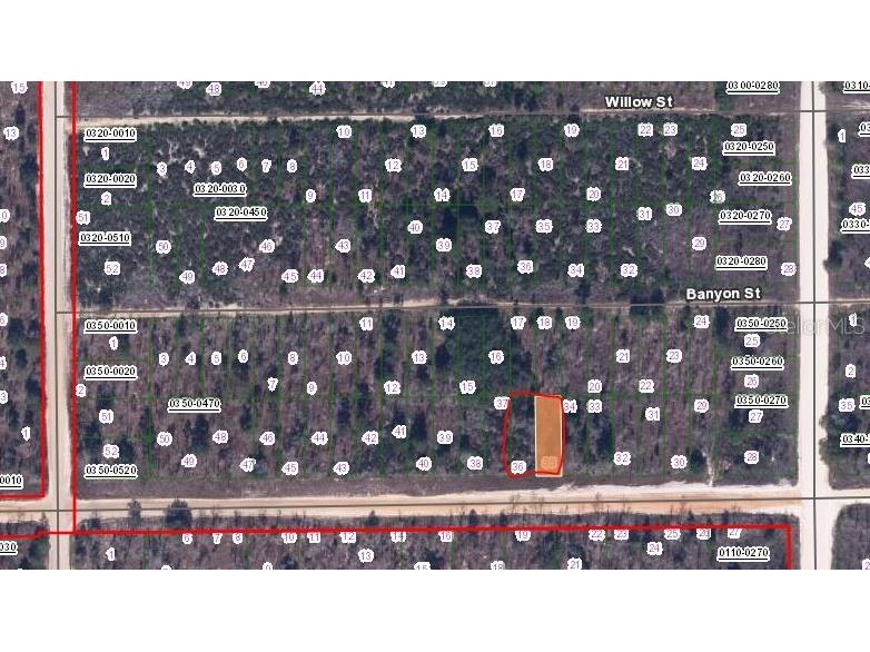 00 Main Street Interlachen FL 32148 OM650614 image2