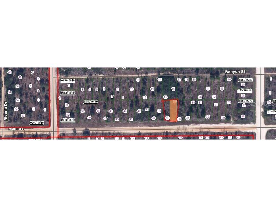 00 Main Street Interlachen FL 32148 OM650615 image2