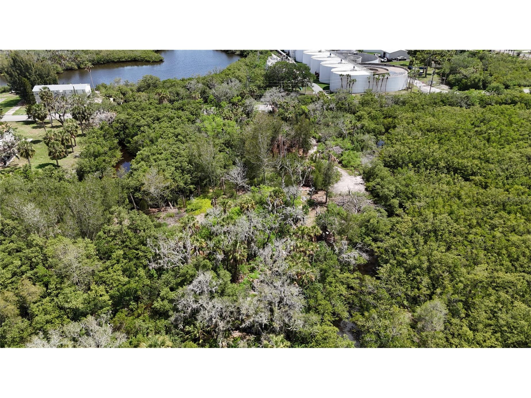 Main Street New Port Richey FL 34652 OM727815 image10