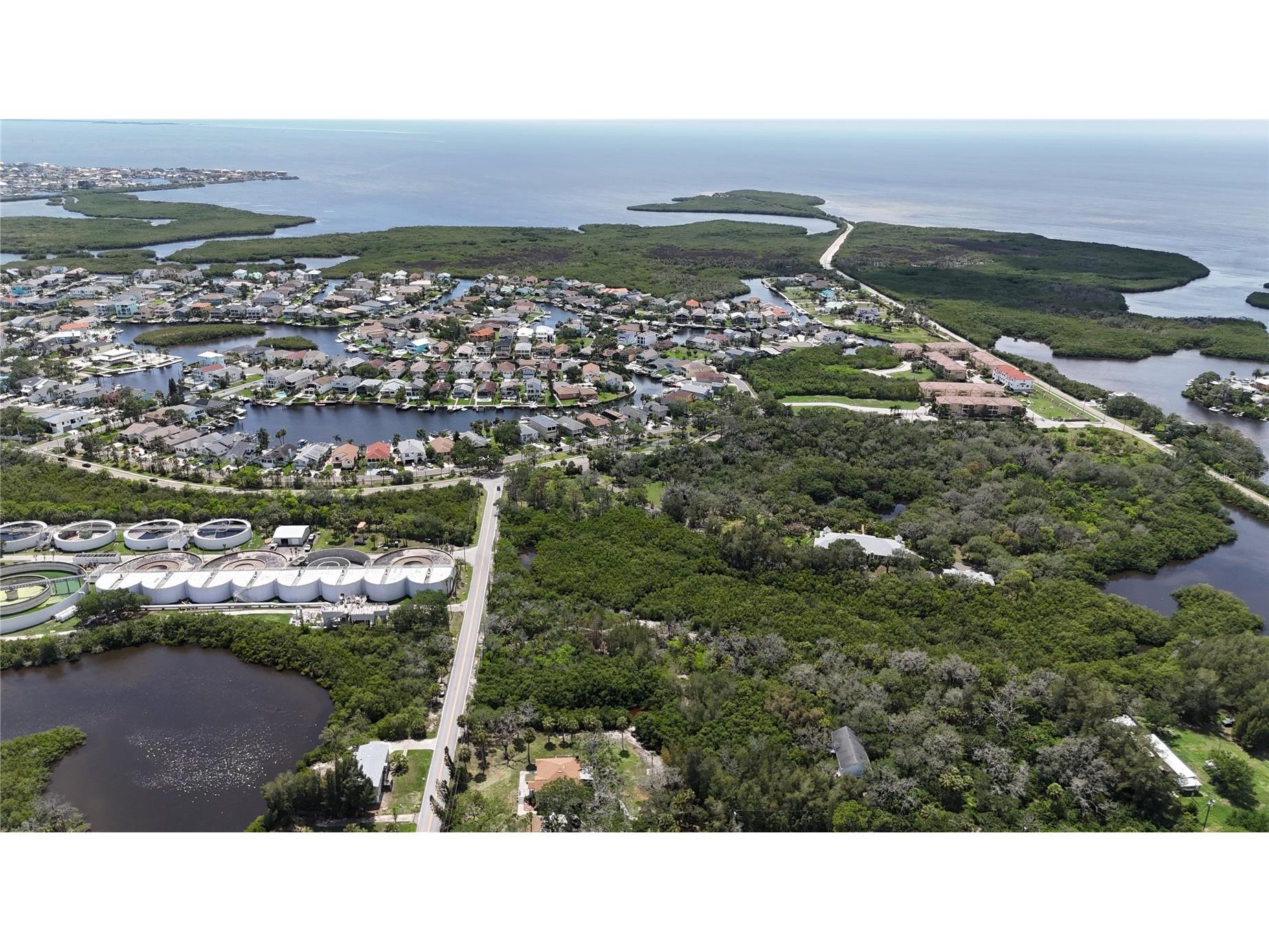 Main Street New Port Richey FL 34652 OM727815 image11
