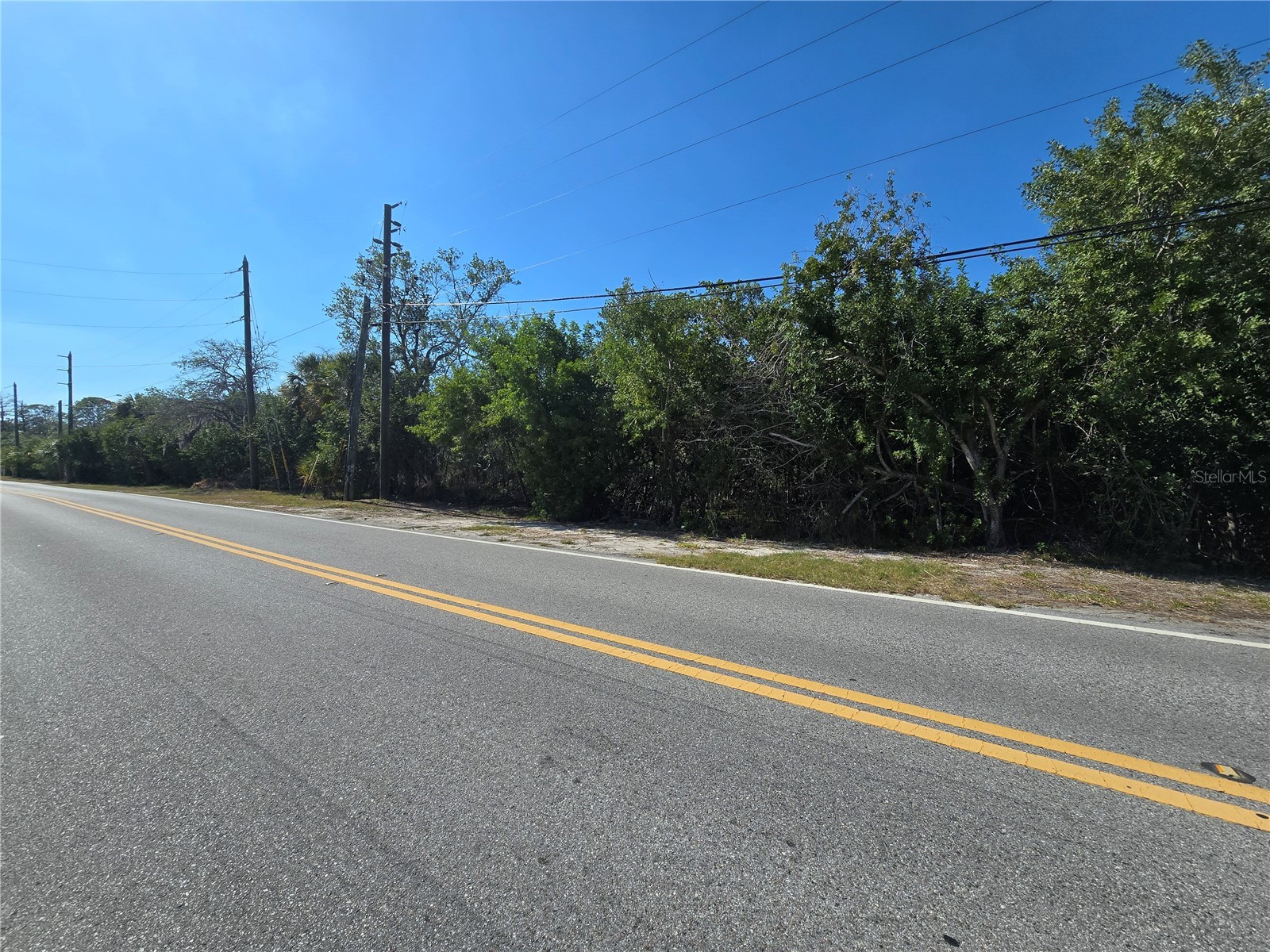 Main Street New Port Richey FL 34652 OM727815 image13