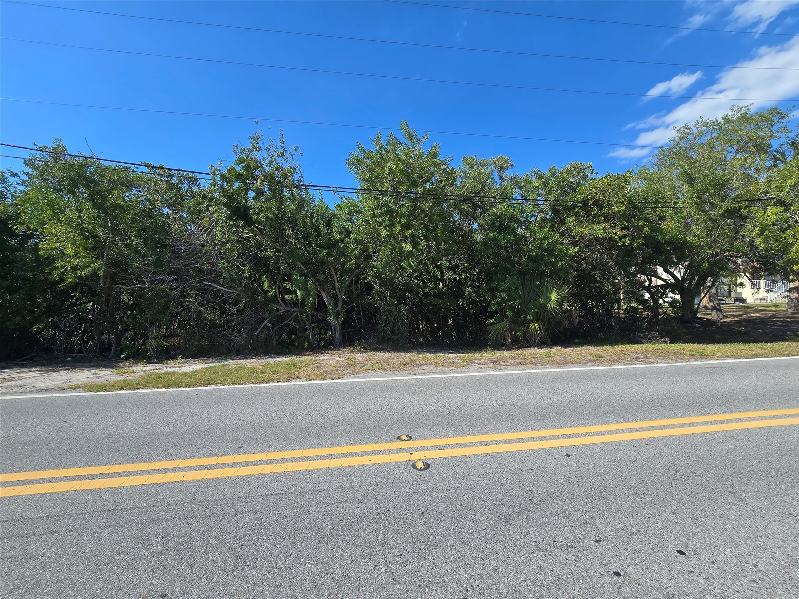 Main Street New Port Richey FL 34652 OM727815 image14