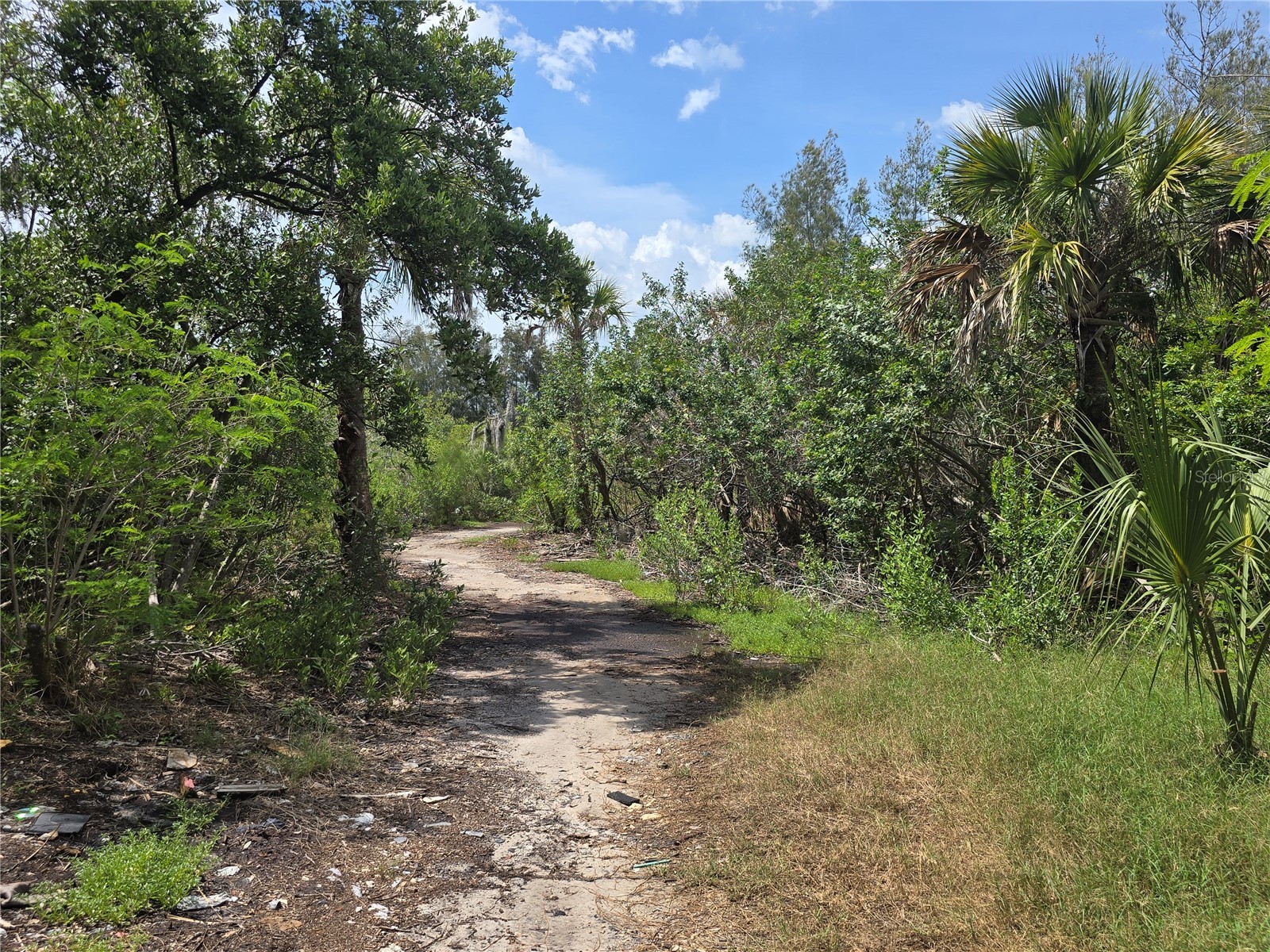 Main Street New Port Richey FL 34652 OM727815 image15