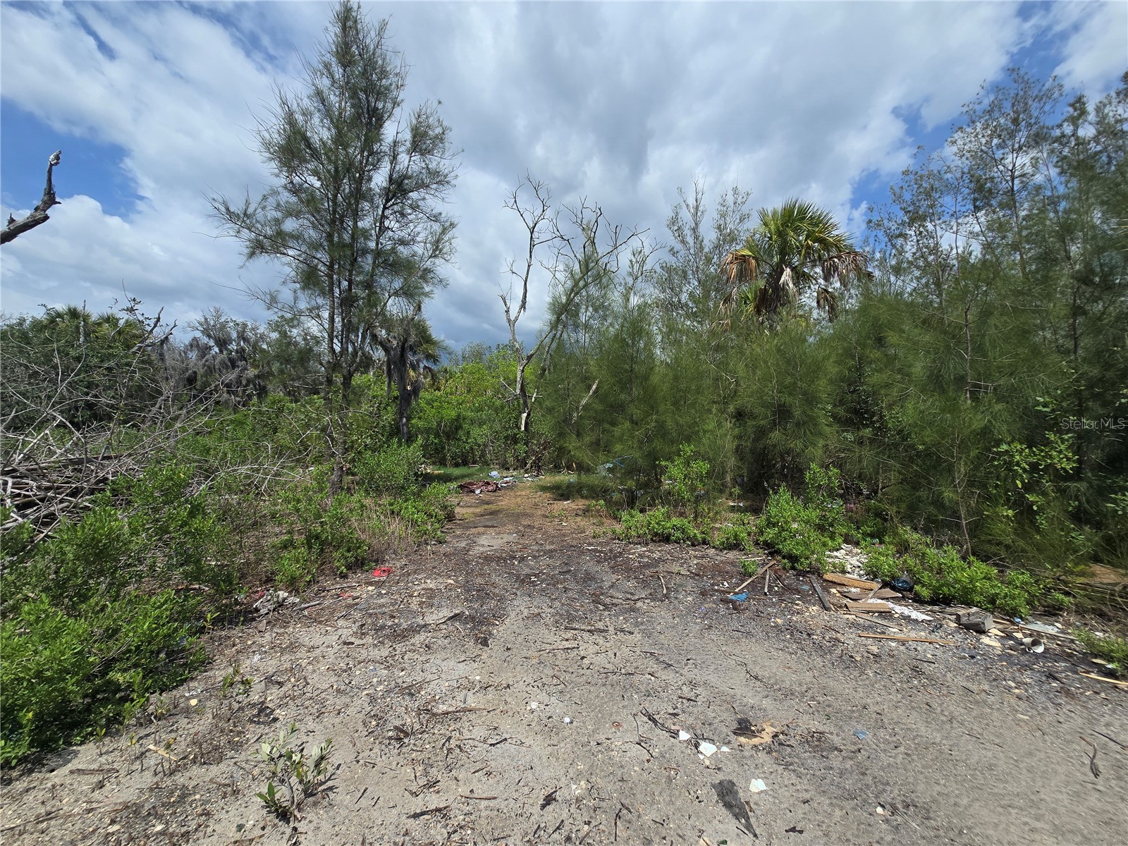 Main Street New Port Richey FL 34652 OM727815 image21