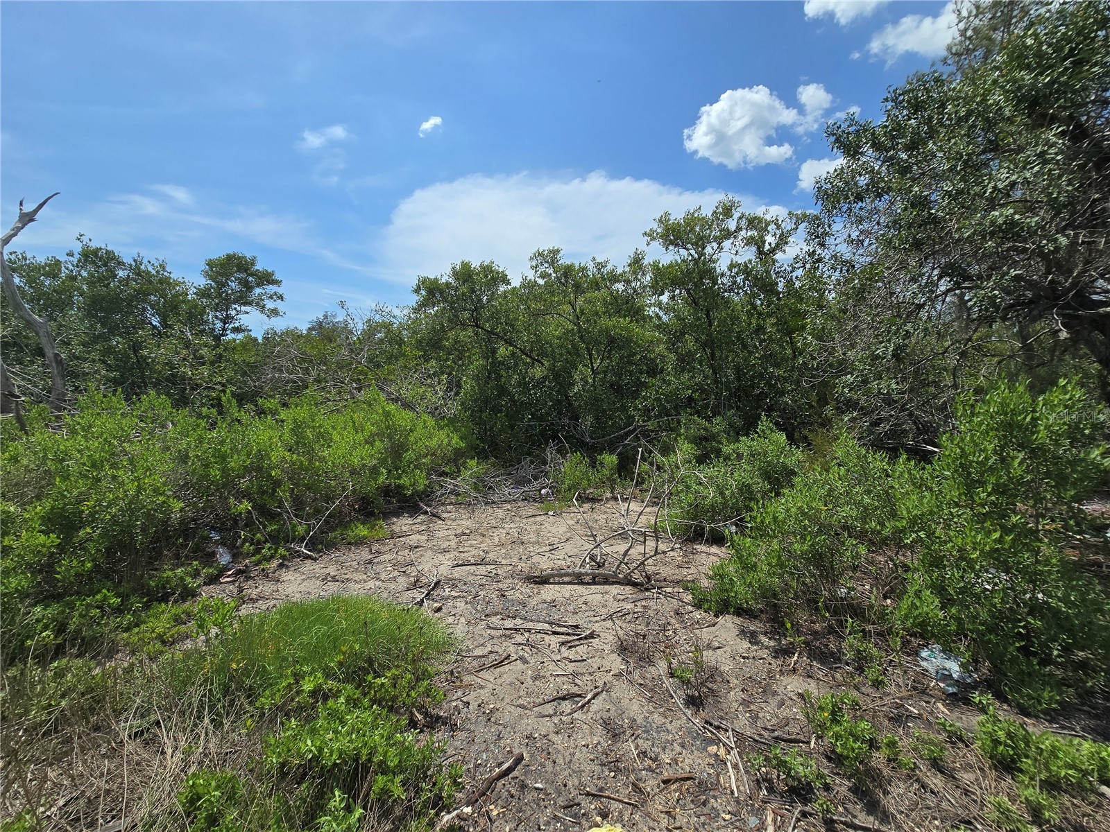 Main Street New Port Richey FL 34652 OM727815 image22