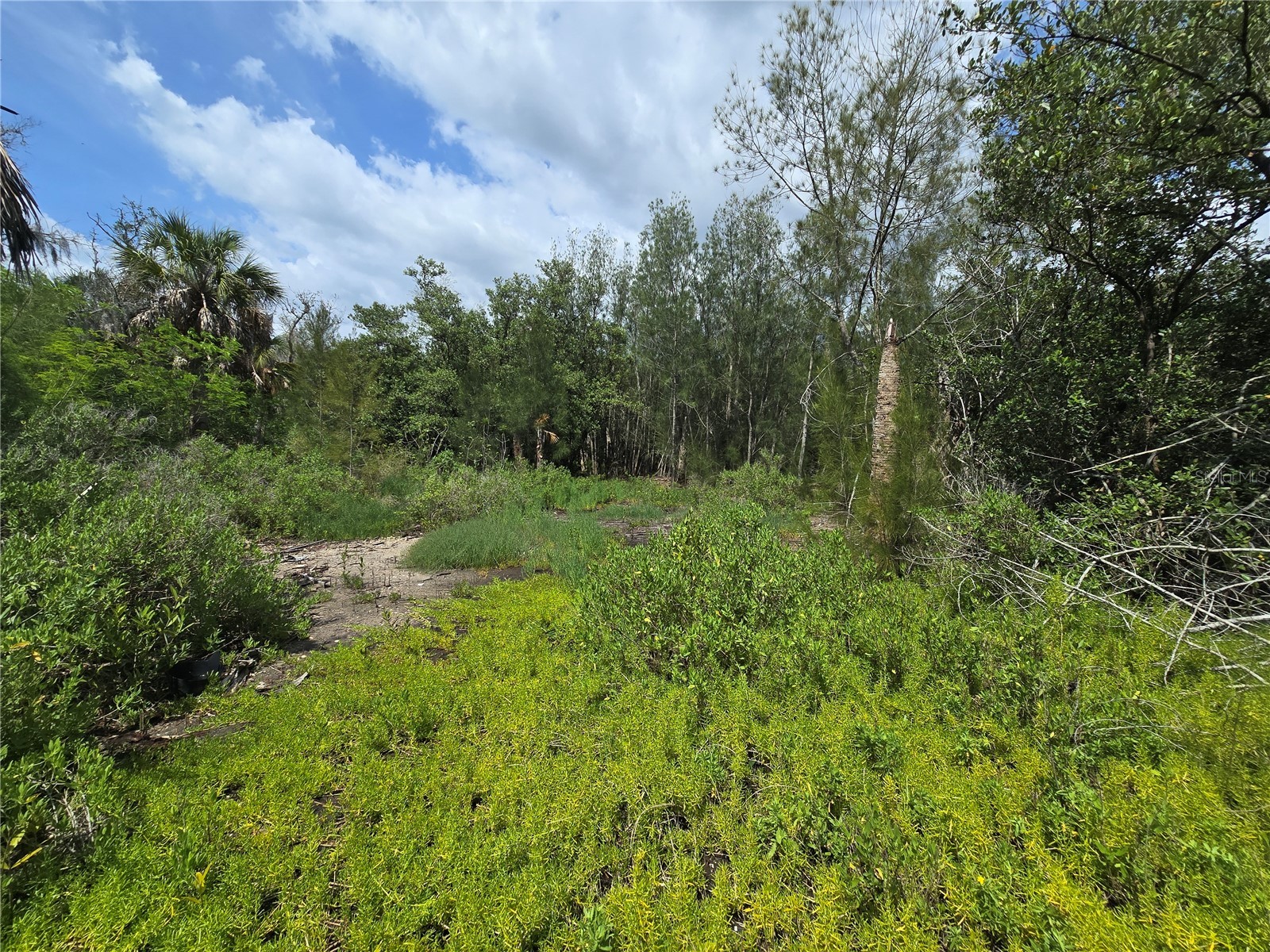 Main Street New Port Richey FL 34652 OM727815 image27