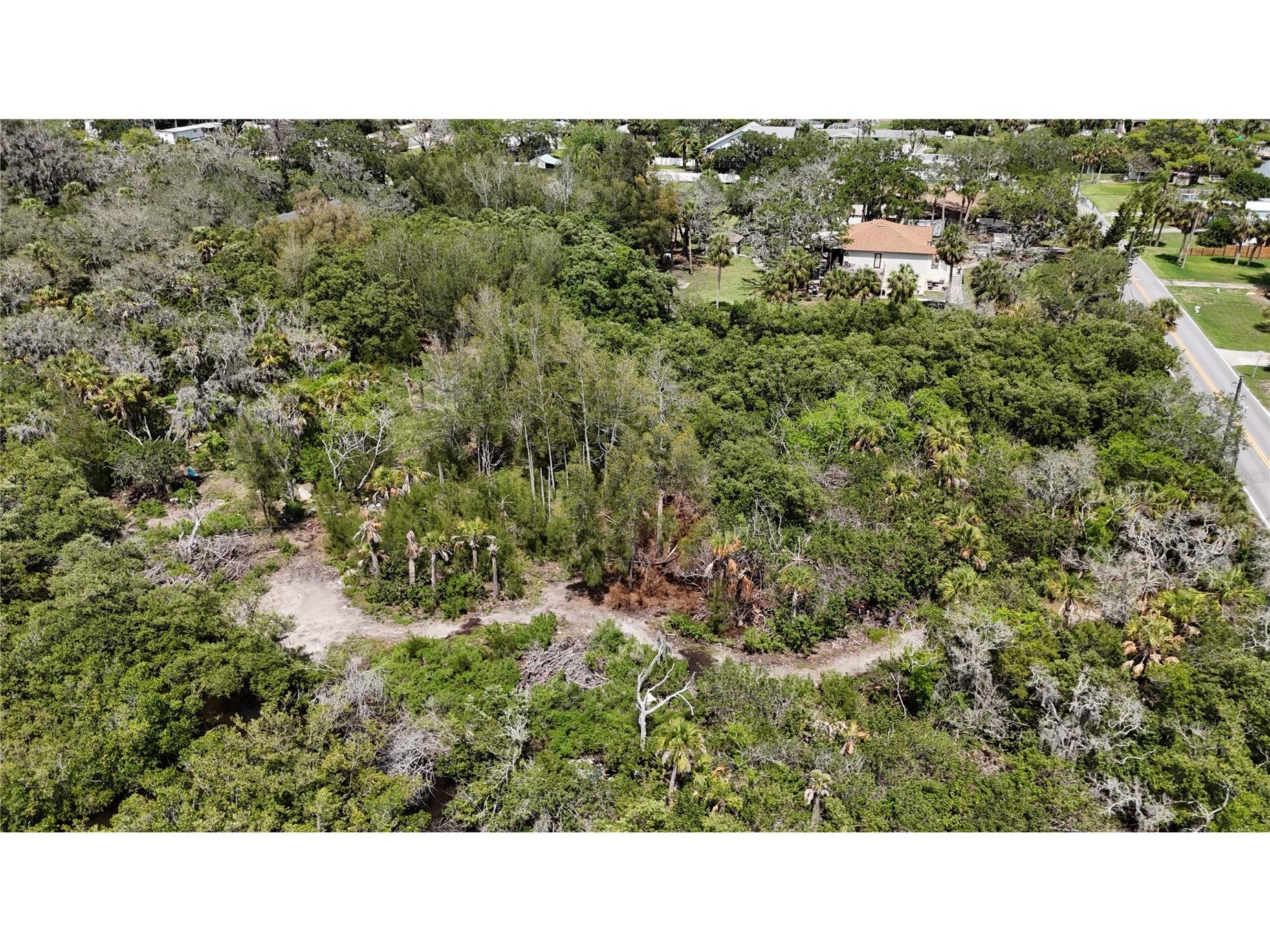 Main Street New Port Richey FL 34652 OM727815 image8