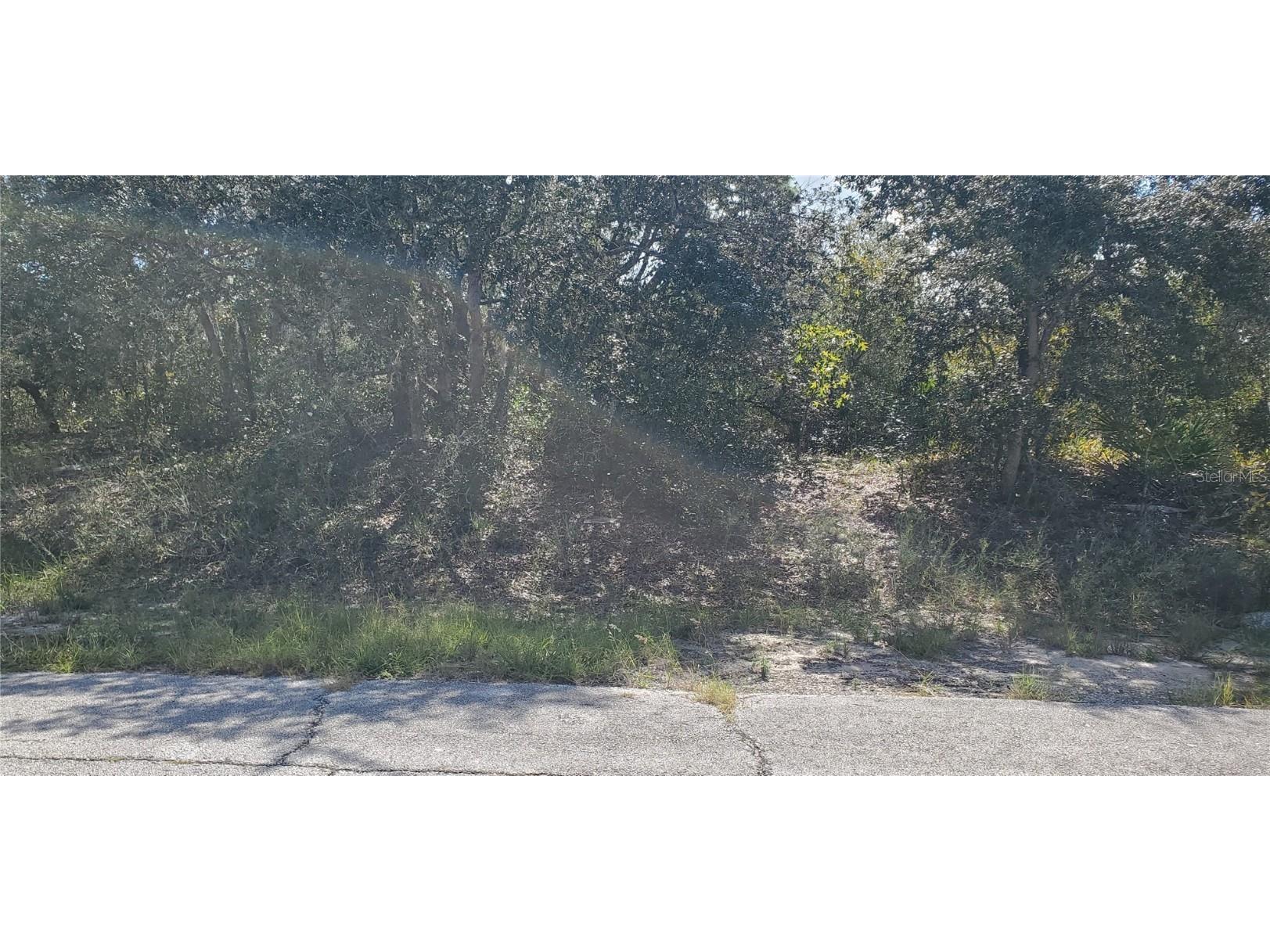 Maitland Court Poinciana FL 34759 S5137069 image1