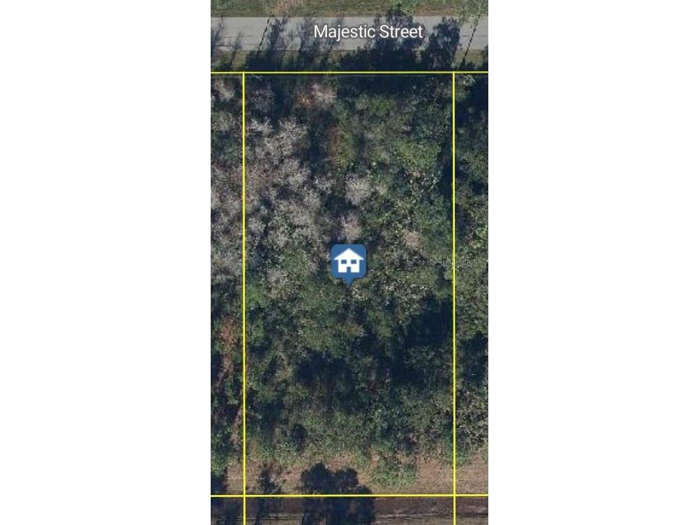 Majestic Street Orlando FL 32833 O6313986 image1