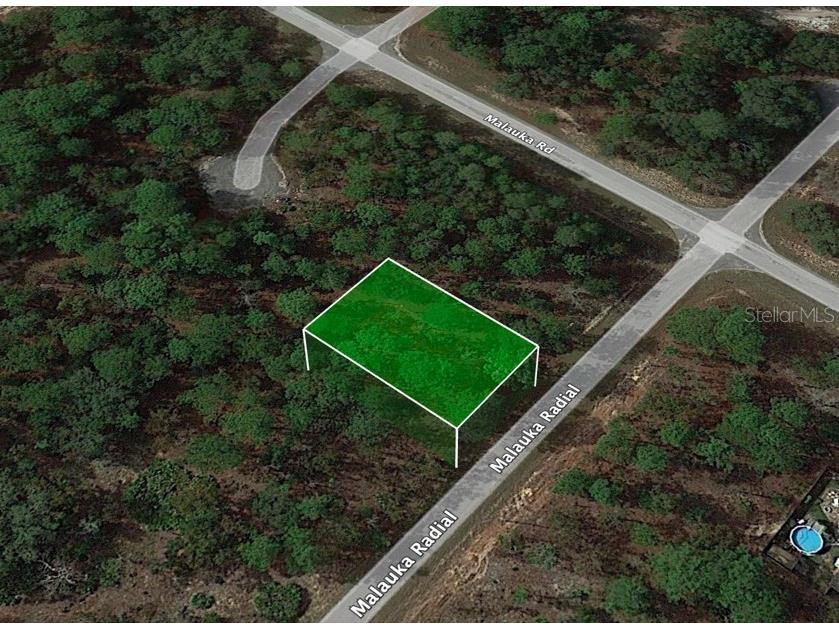 Malaluka Radial Ocklawaha FL 32179 O6187819 image1