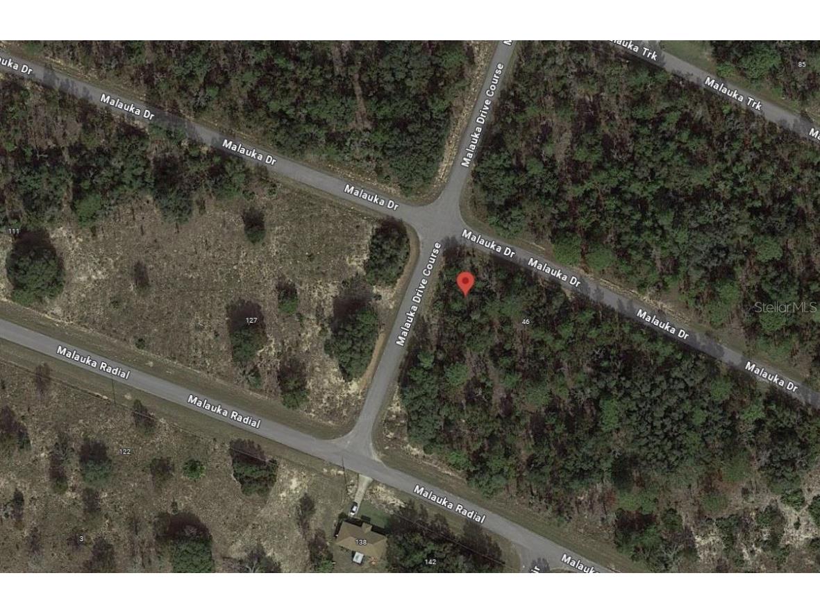 Malauka Drive Ocklawaha FL 32179 OK224313 image1