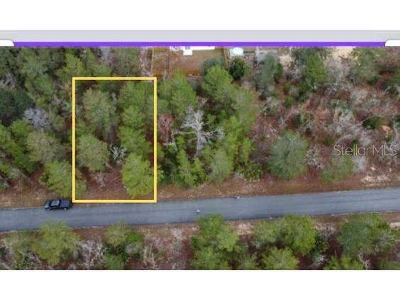 Malauka Drive Ocklawaha FL 32179 G5106635 image1