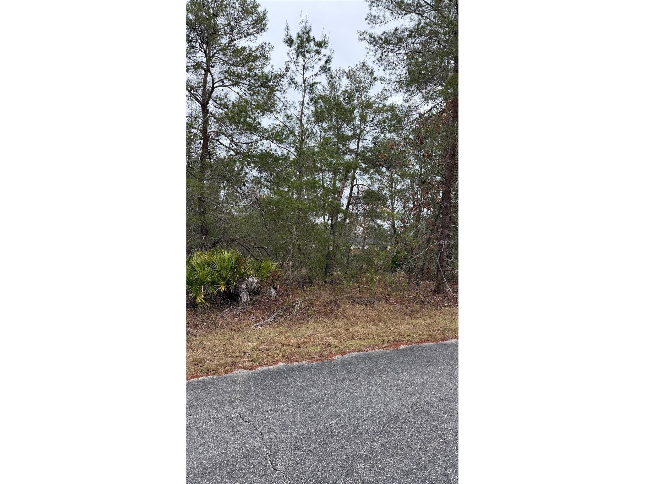 Malauka Drive Ocklawaha FL 32179 G5106635 image2