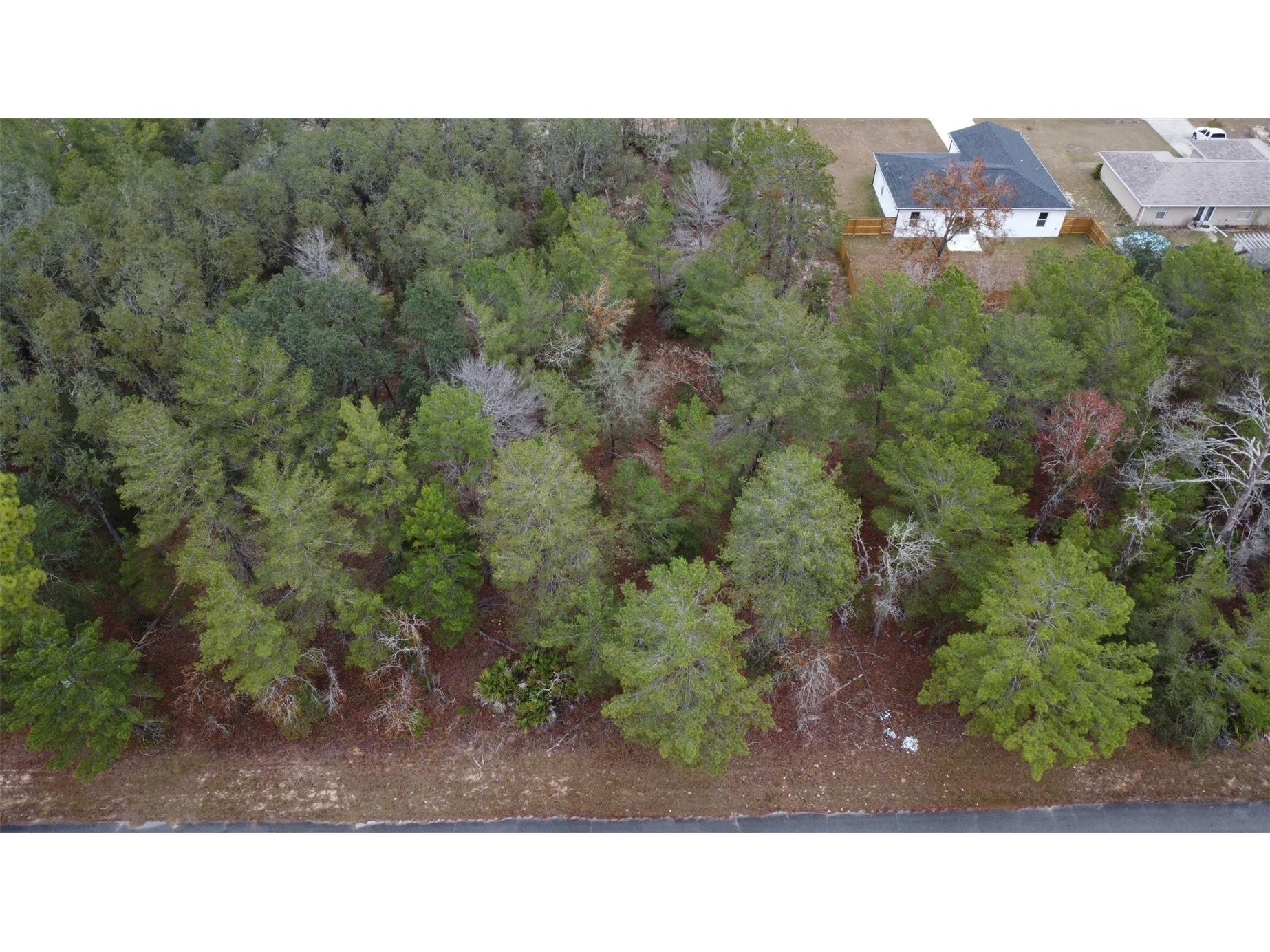 Malauka Drive Ocklawaha FL 32179 G5106635 image3