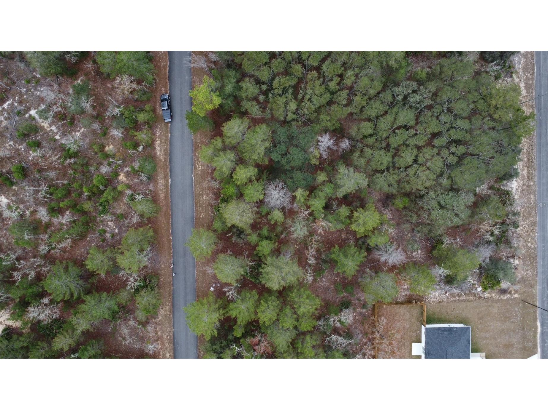 Malauka Drive Ocklawaha FL 32179 G5106635 image6