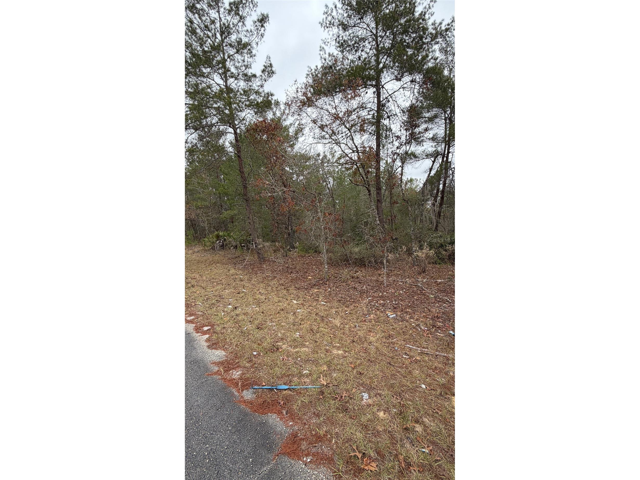 Malauka Drive Ocklawaha FL 32179 G5106635 image7