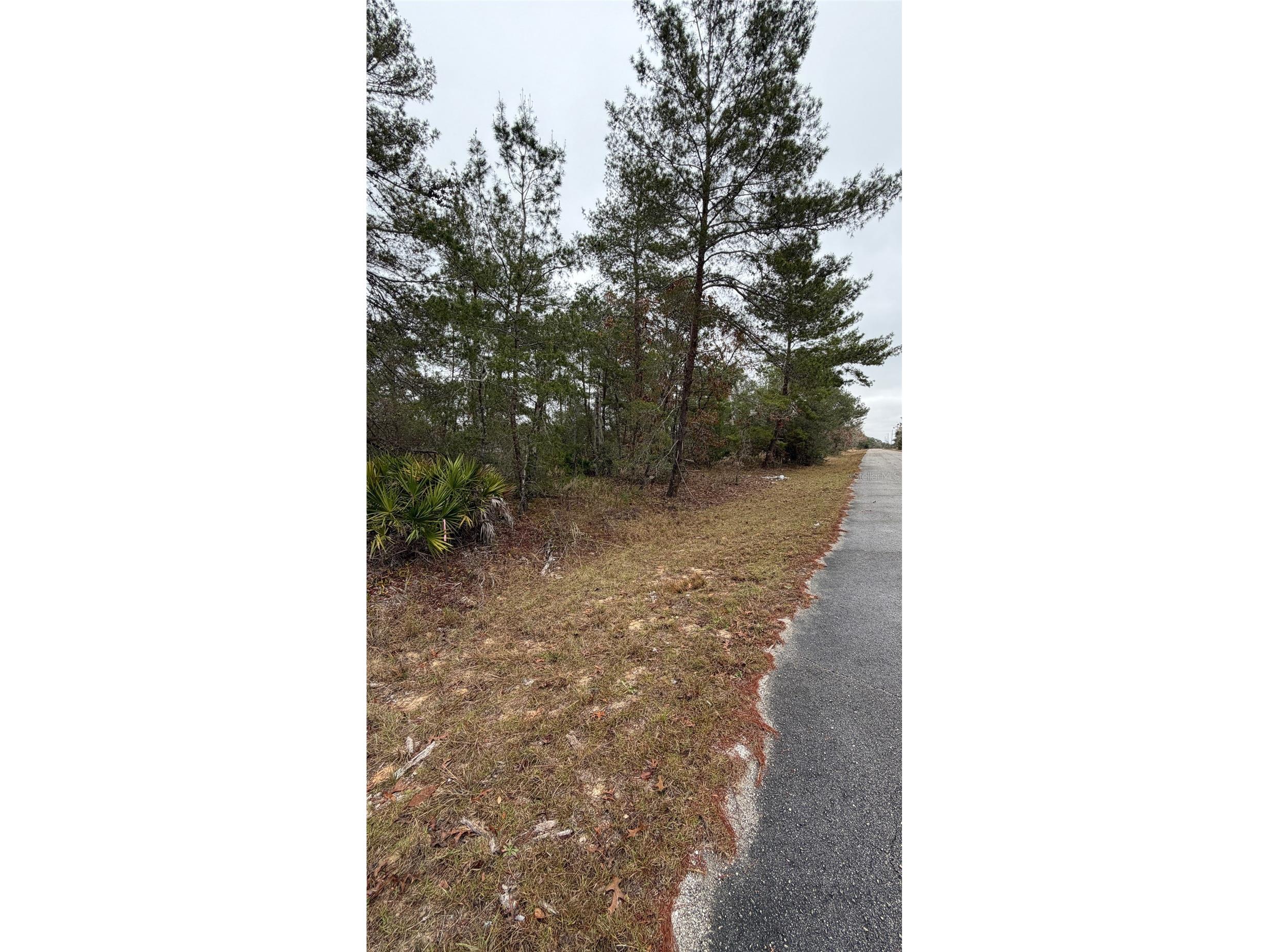 Malauka Drive Ocklawaha FL 32179 G5106635 image8