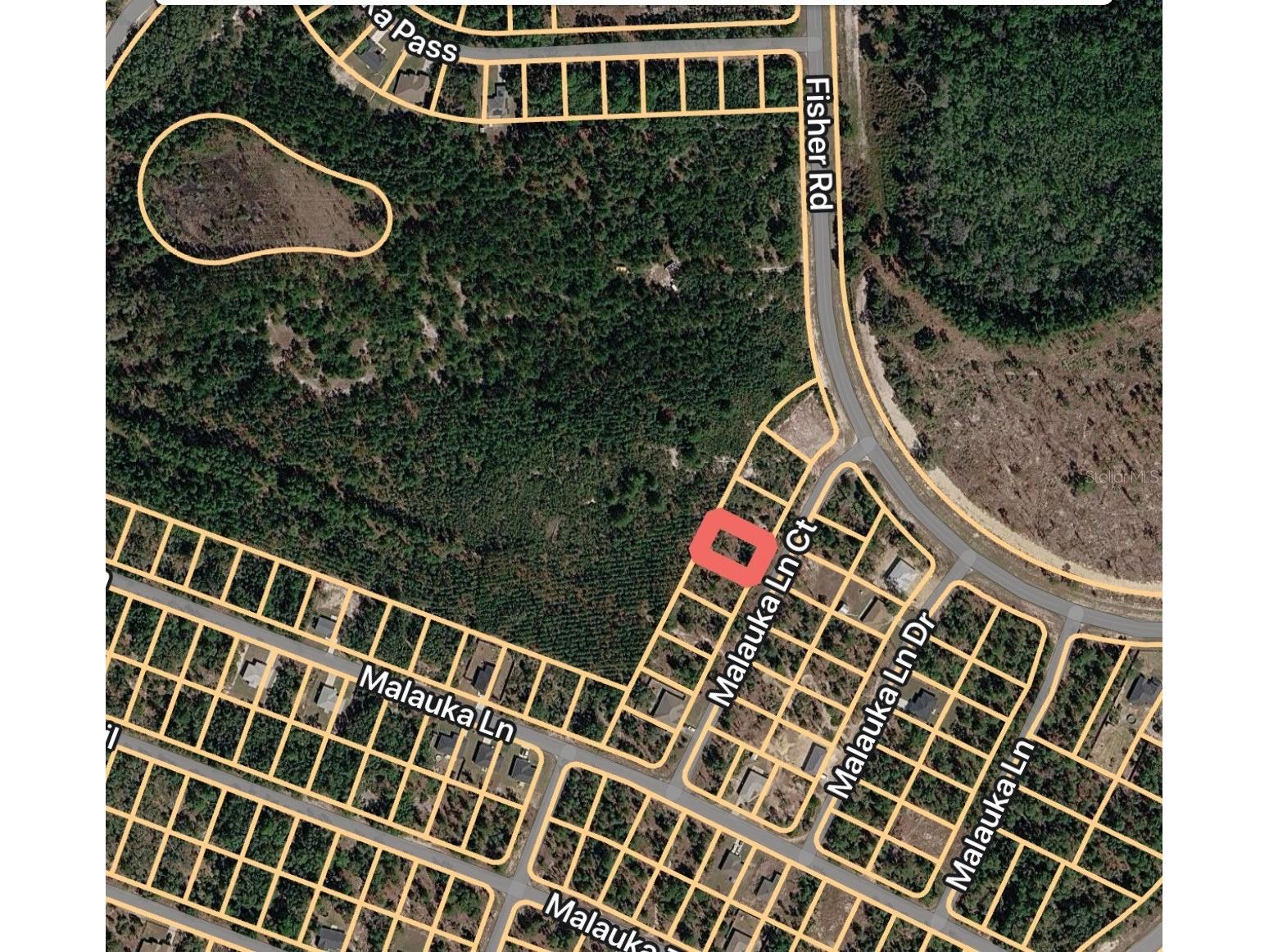 Malauka Lane Court Ocklawaha FL 32179 OM721031 image3