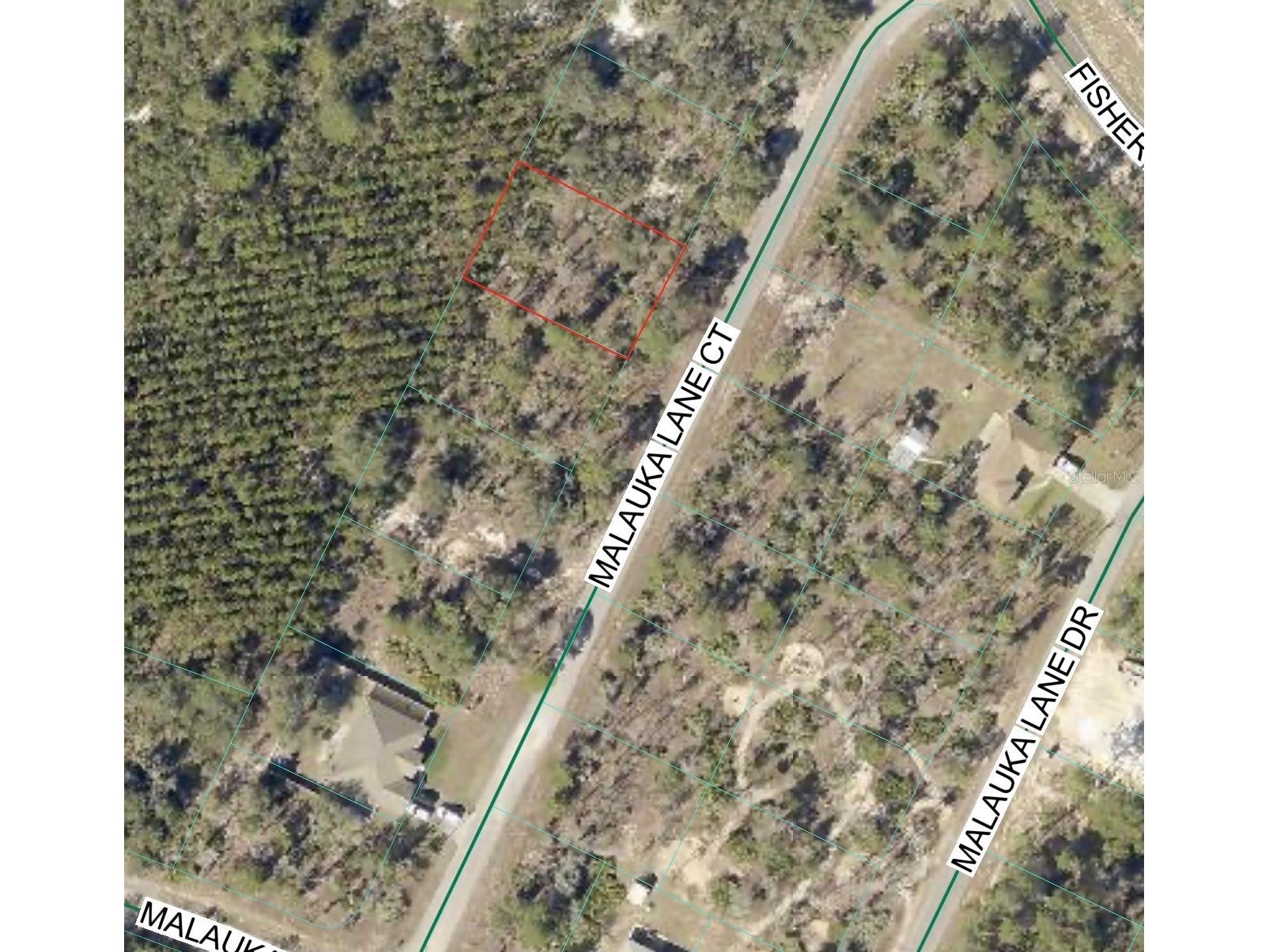 Malauka Lane Court Ocklawaha FL 32179 OM721031 image4