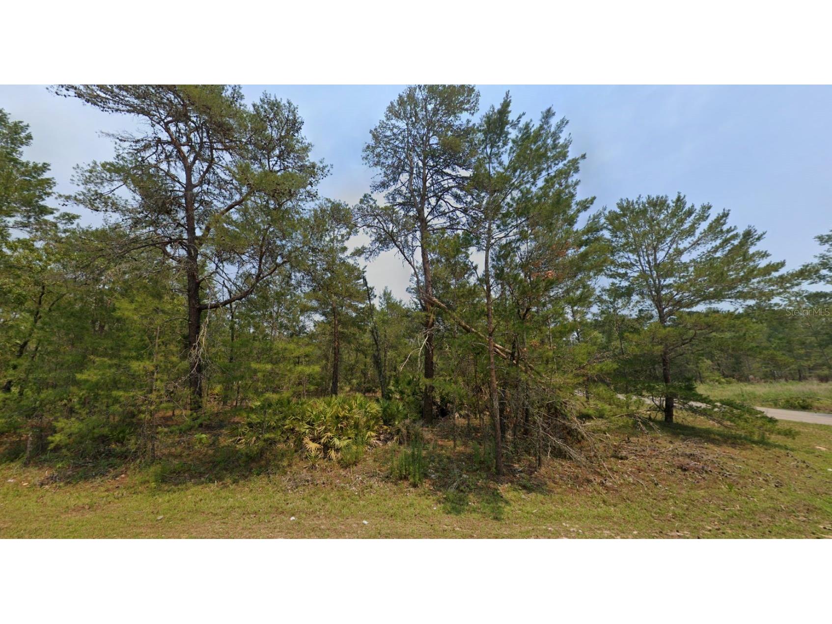 Malauka Lane Ocklawaha FL 32179 D6147528 image4