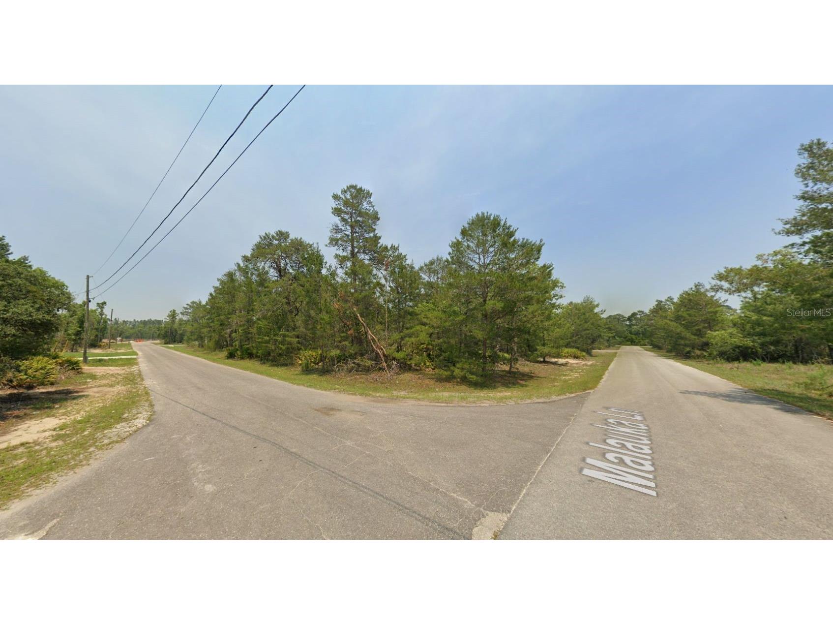 Malauka Lane Ocklawaha FL 32179 D6147528 image5