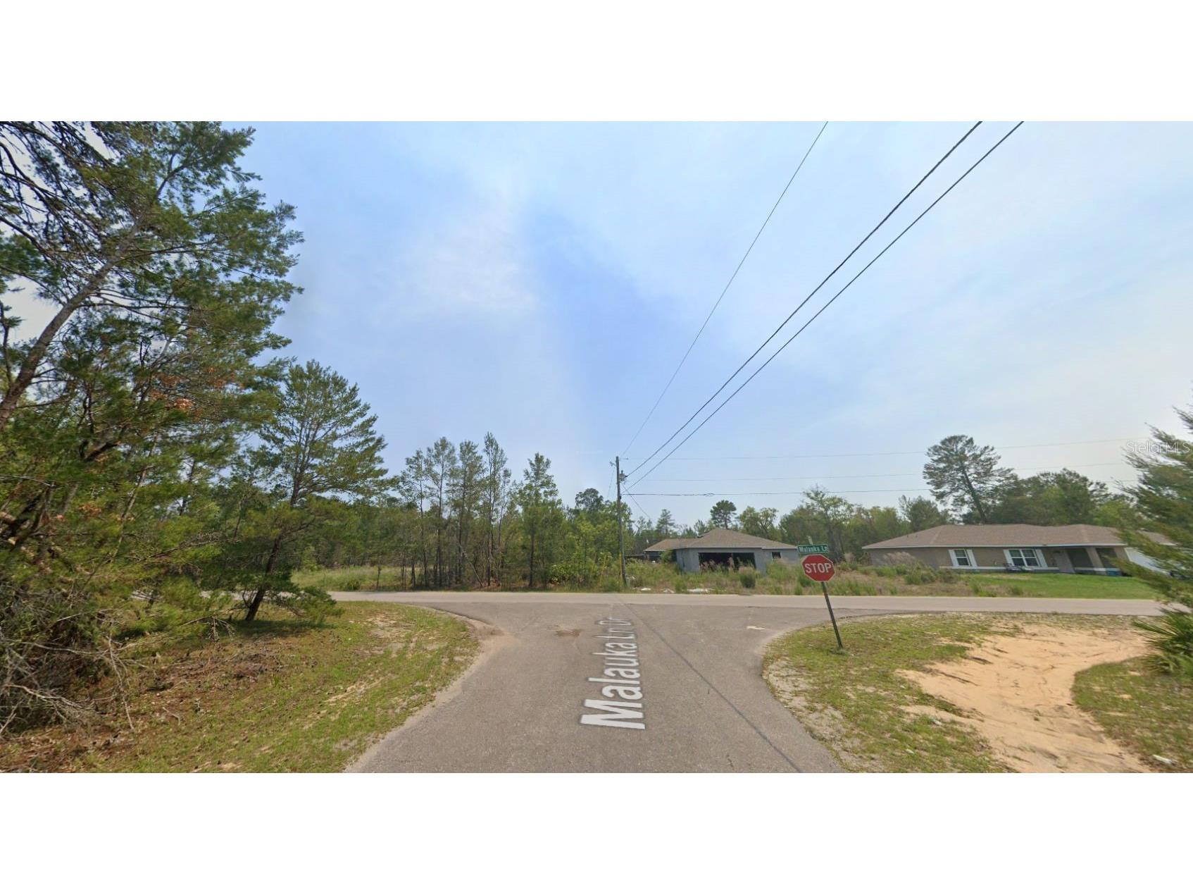 Malauka Lane Ocklawaha FL 32179 D6147528 image7