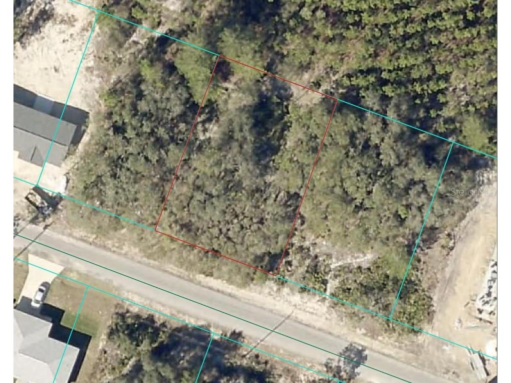 Malauka Lane Ocklawaha FL 32179 O6337047 image1