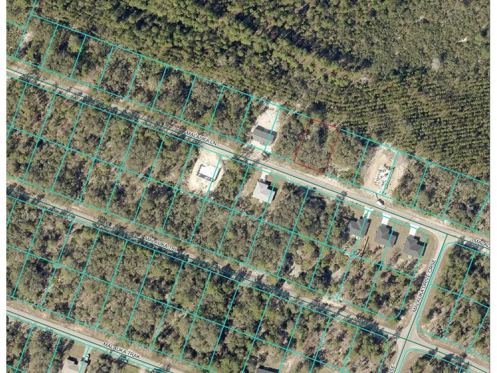 Malauka Lane Ocklawaha FL 32179 O6337047 image2