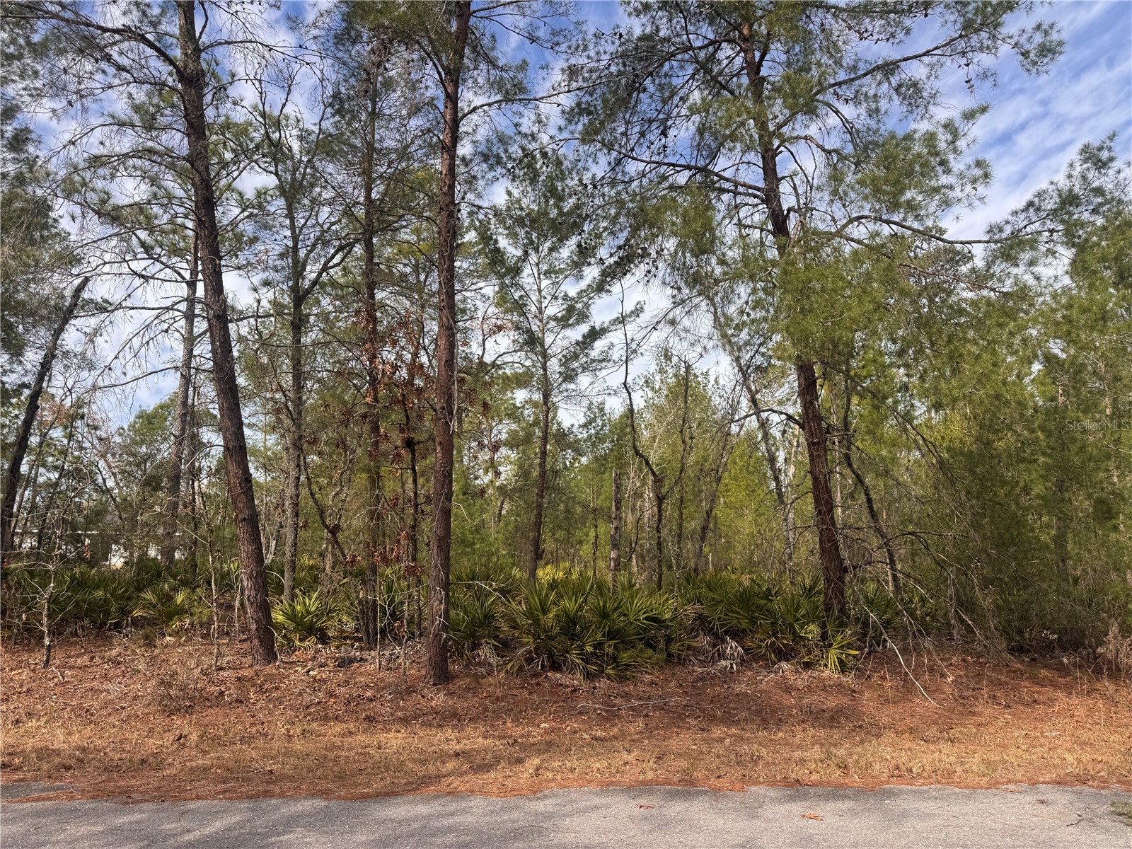 Malauka Lane Pass Ocklawaha FL 32179 S5143159 image1