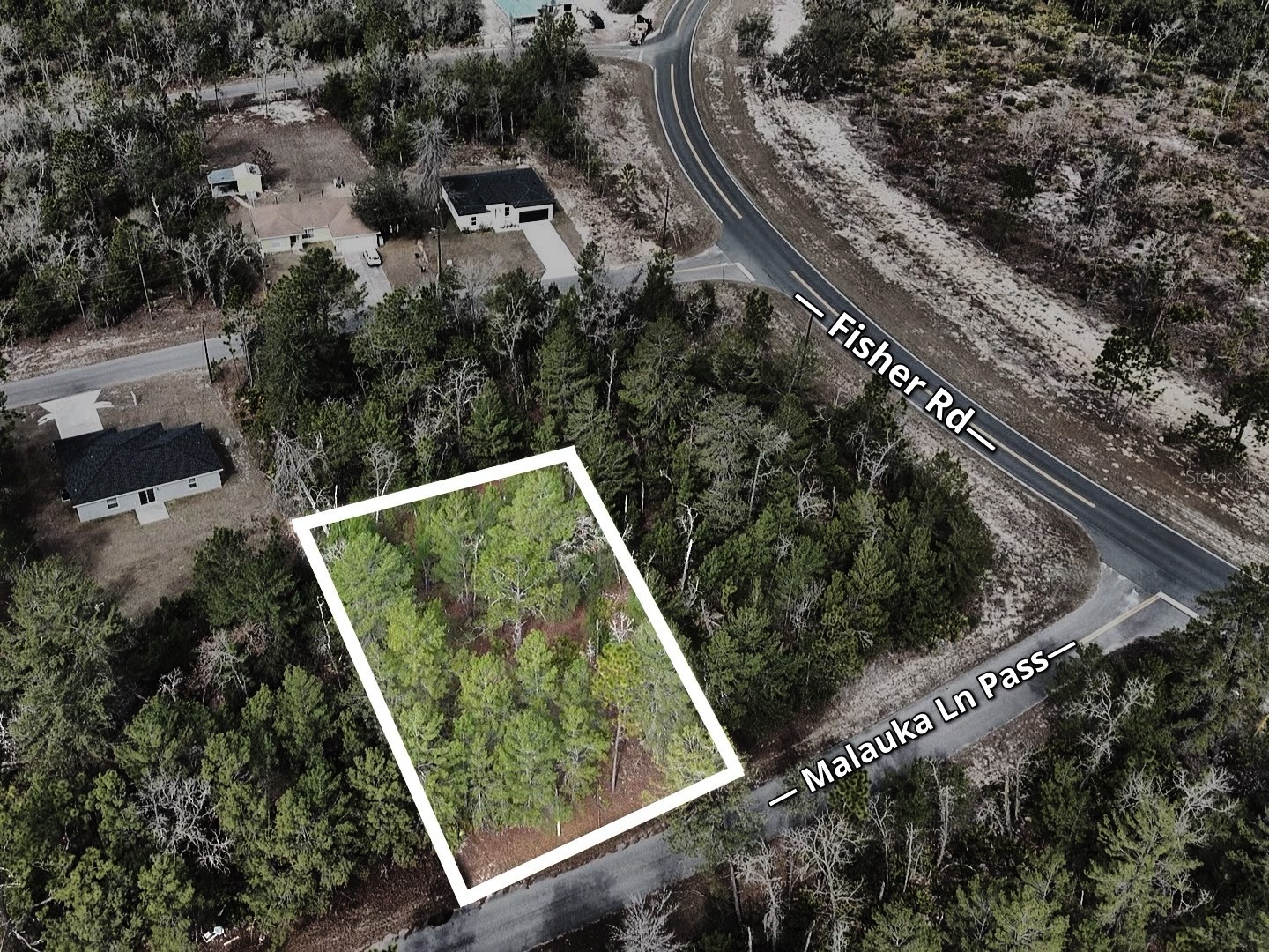 Malauka Lane Pass Ocklawaha FL 32179 S5143159 image2