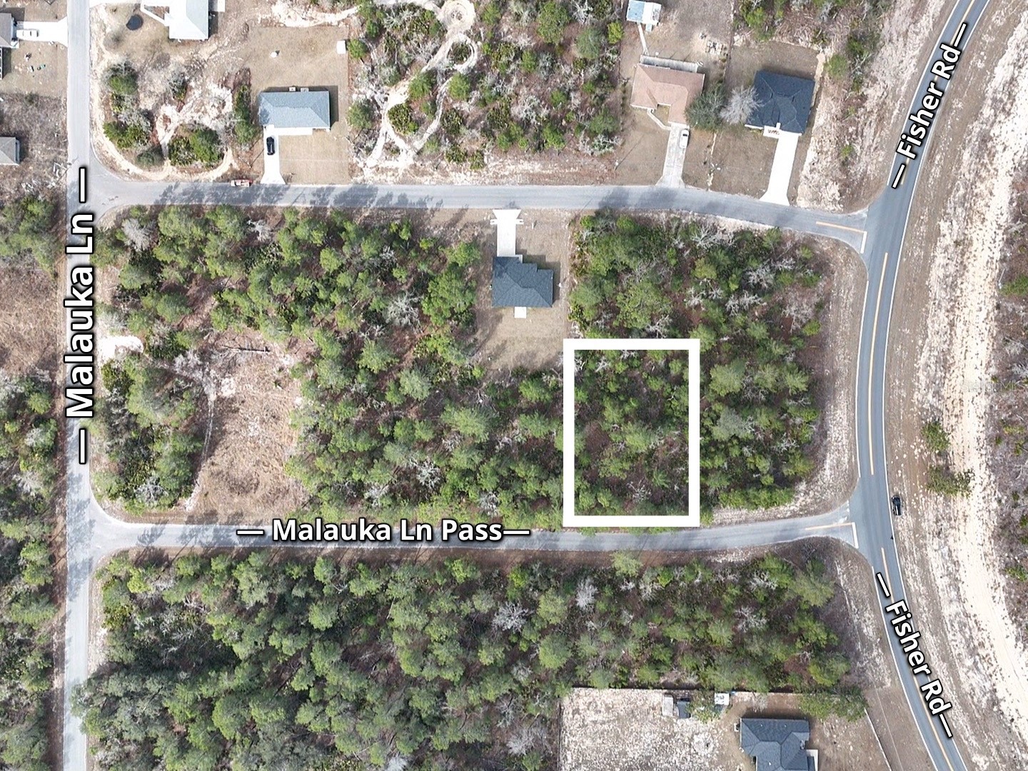 Malauka Lane Pass Ocklawaha FL 32179 S5143159 image3