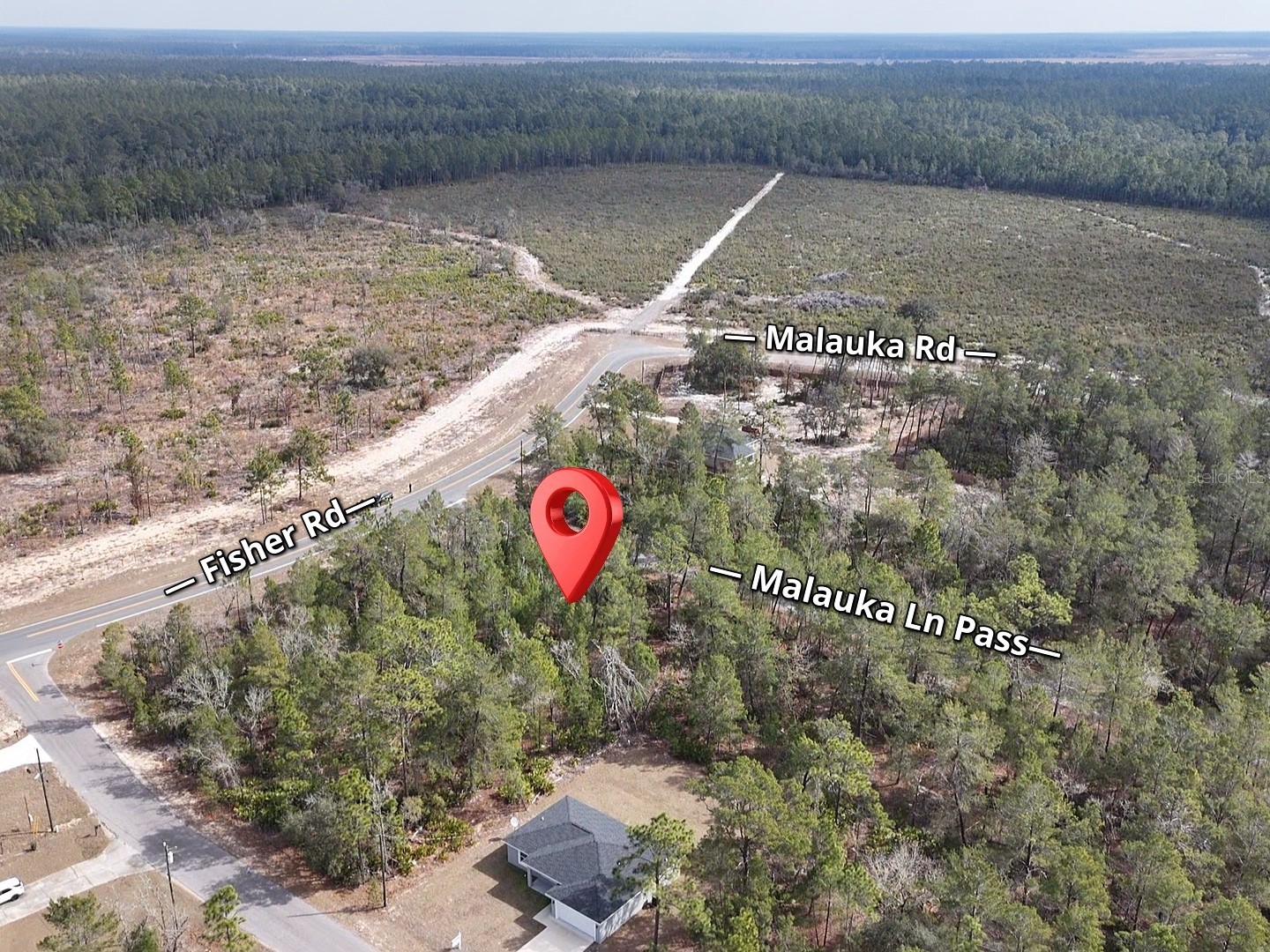 Malauka Lane Pass Ocklawaha FL 32179 S5143159 image5