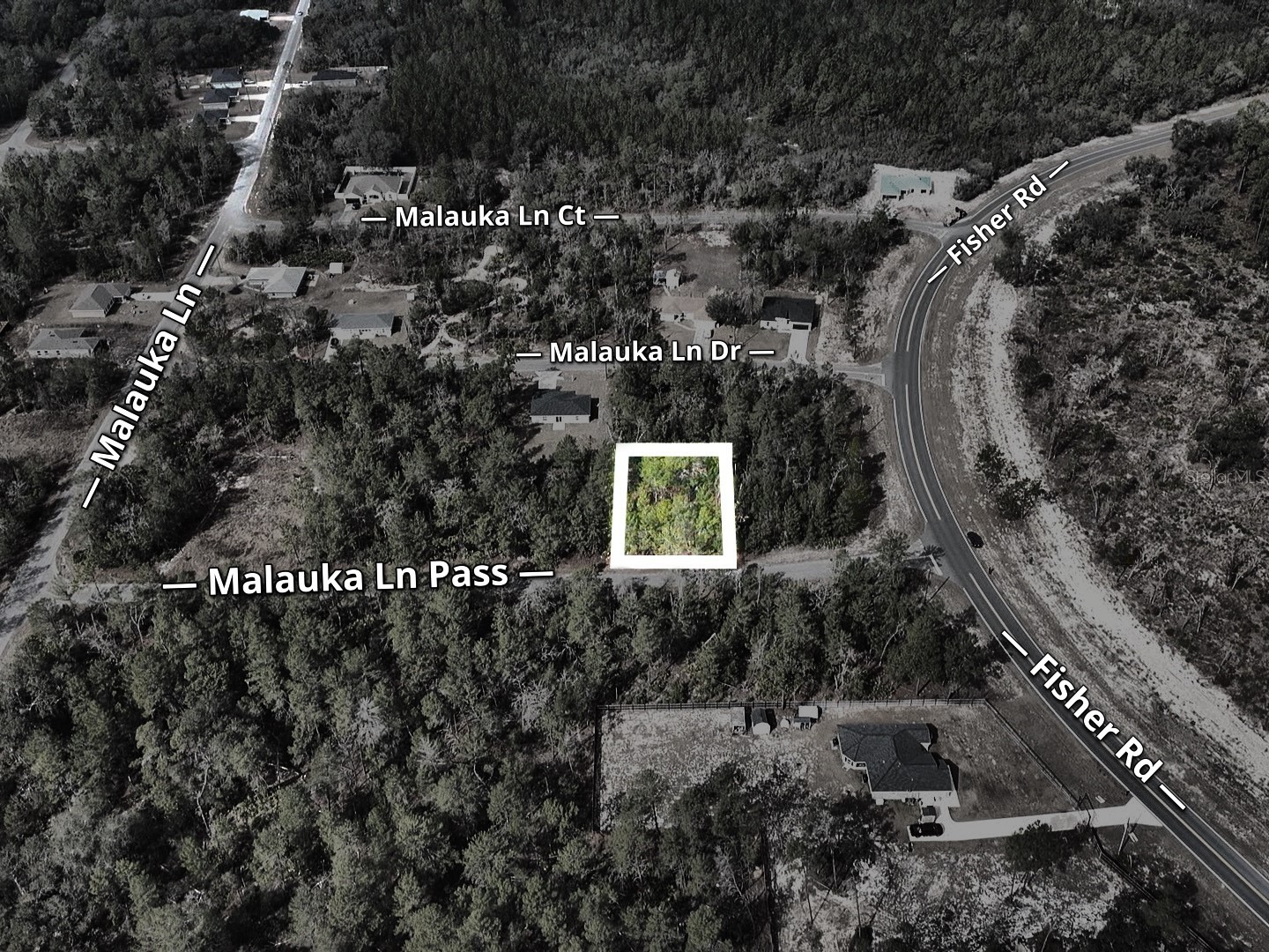 Malauka Lane Pass Ocklawaha FL 32179 S5143159 image6