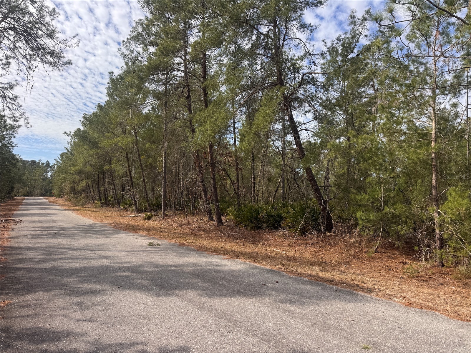 Malauka Lane Pass Ocklawaha FL 32179 S5143159 image7