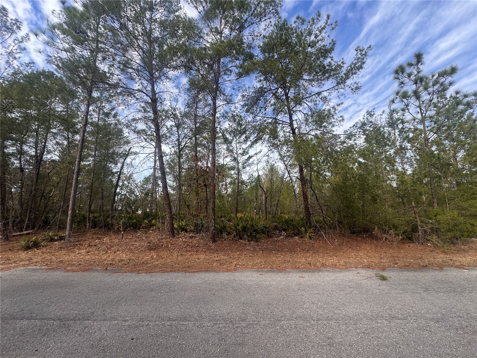 Malauka Lane Pass Ocklawaha FL 32179 S5143159 image8